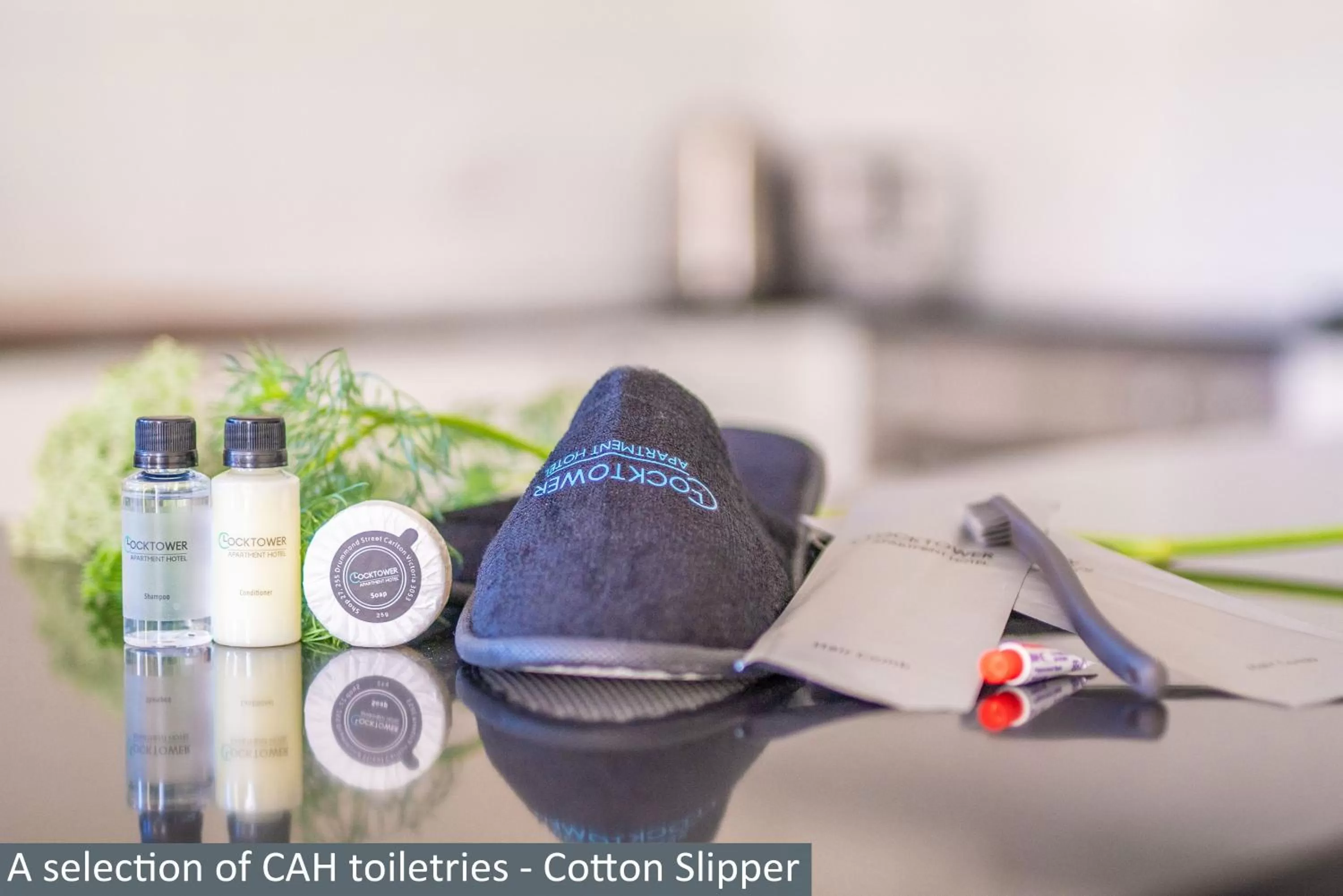 Executive Two-Bedroom Apartment - One King Bed and One Queen Bed in Clocktower Apartment Hotel