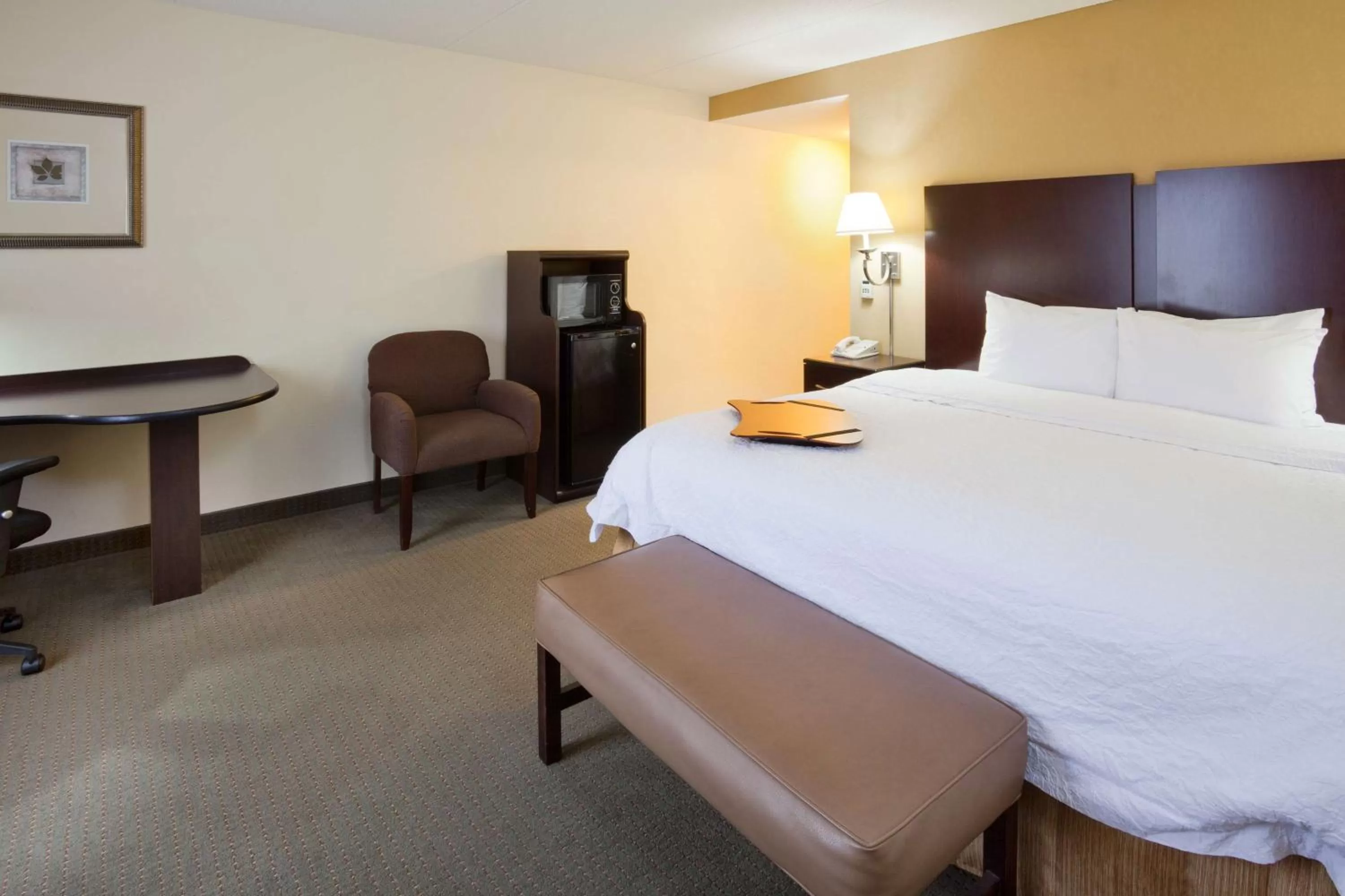 King Studio with Roll-In Shower - Mobility Access/Non-Smoking in Hampton Inn & Suites Lino Lakes