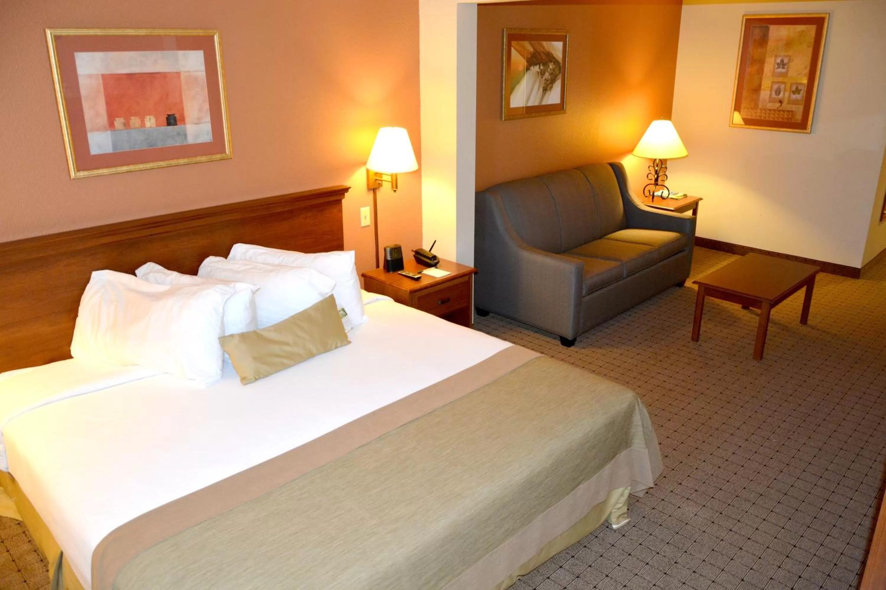 King Suite in Wingate by Wyndham West Monroe