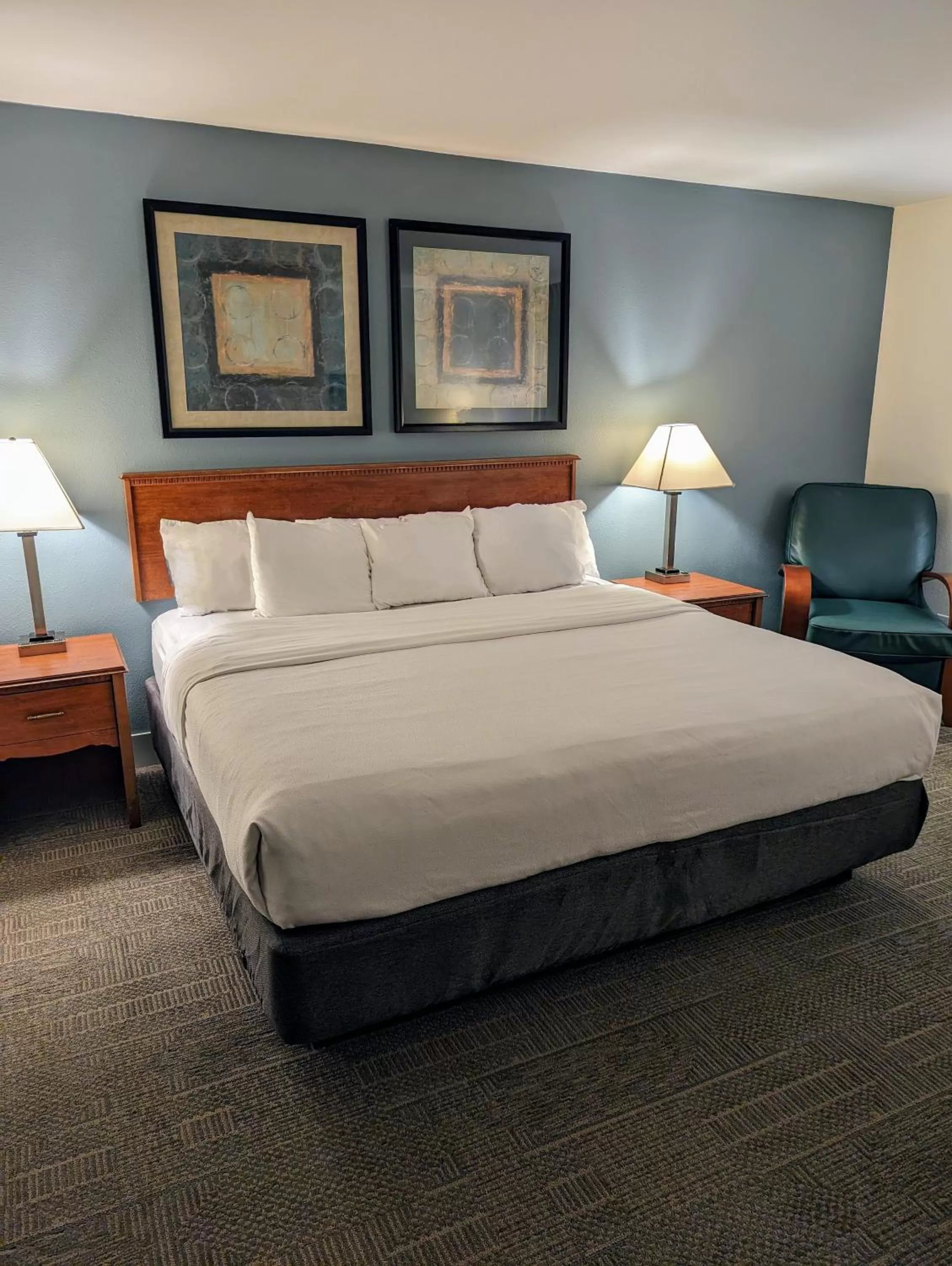 Superior King Room in La Quinta Inn by Wyndham Chicago Willowbrook