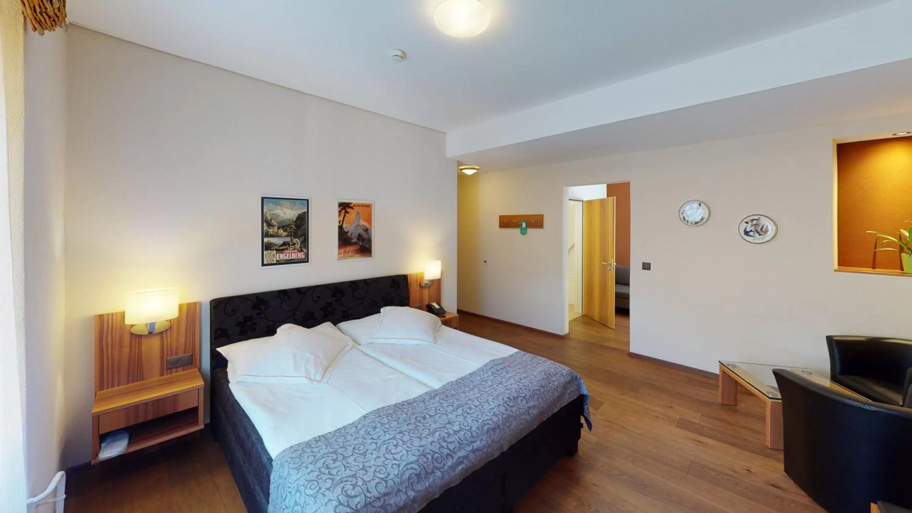 Deluxe Double Room - single occupancy in Hotel Ambassador