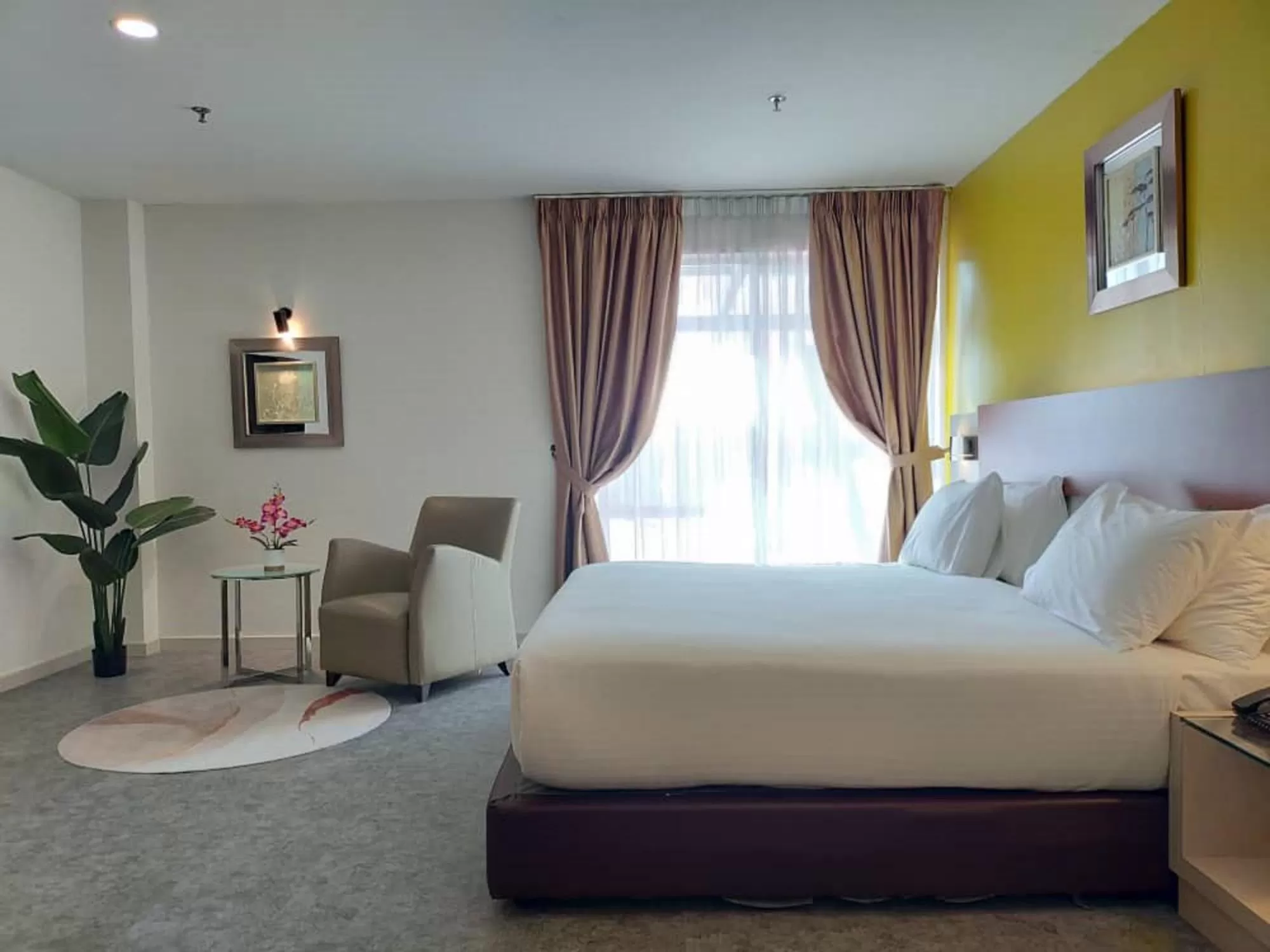 Suite in Hotel Sentral Georgetown @ City Centre