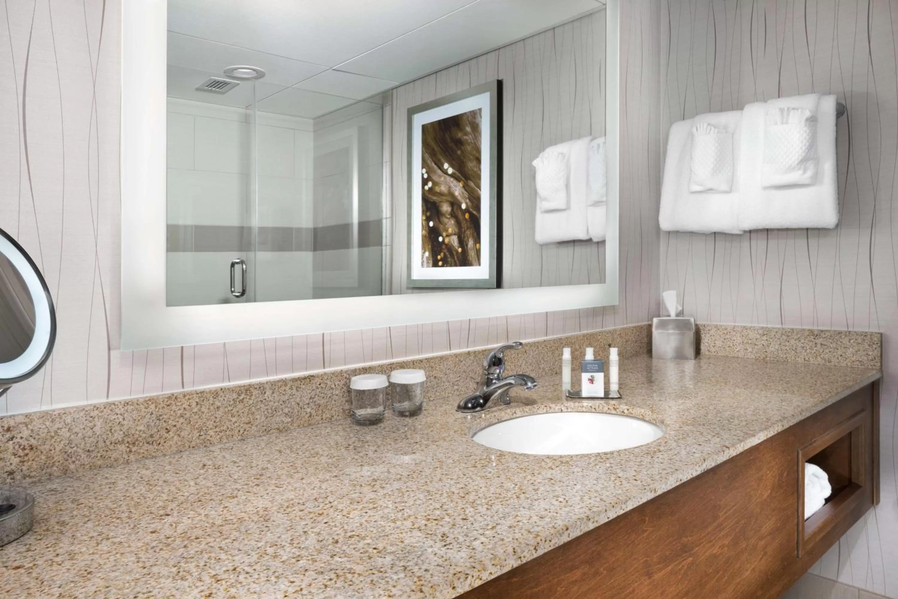 King Room with Tub - Mobility and Hearing Access in DoubleTree by Hilton Lawrence