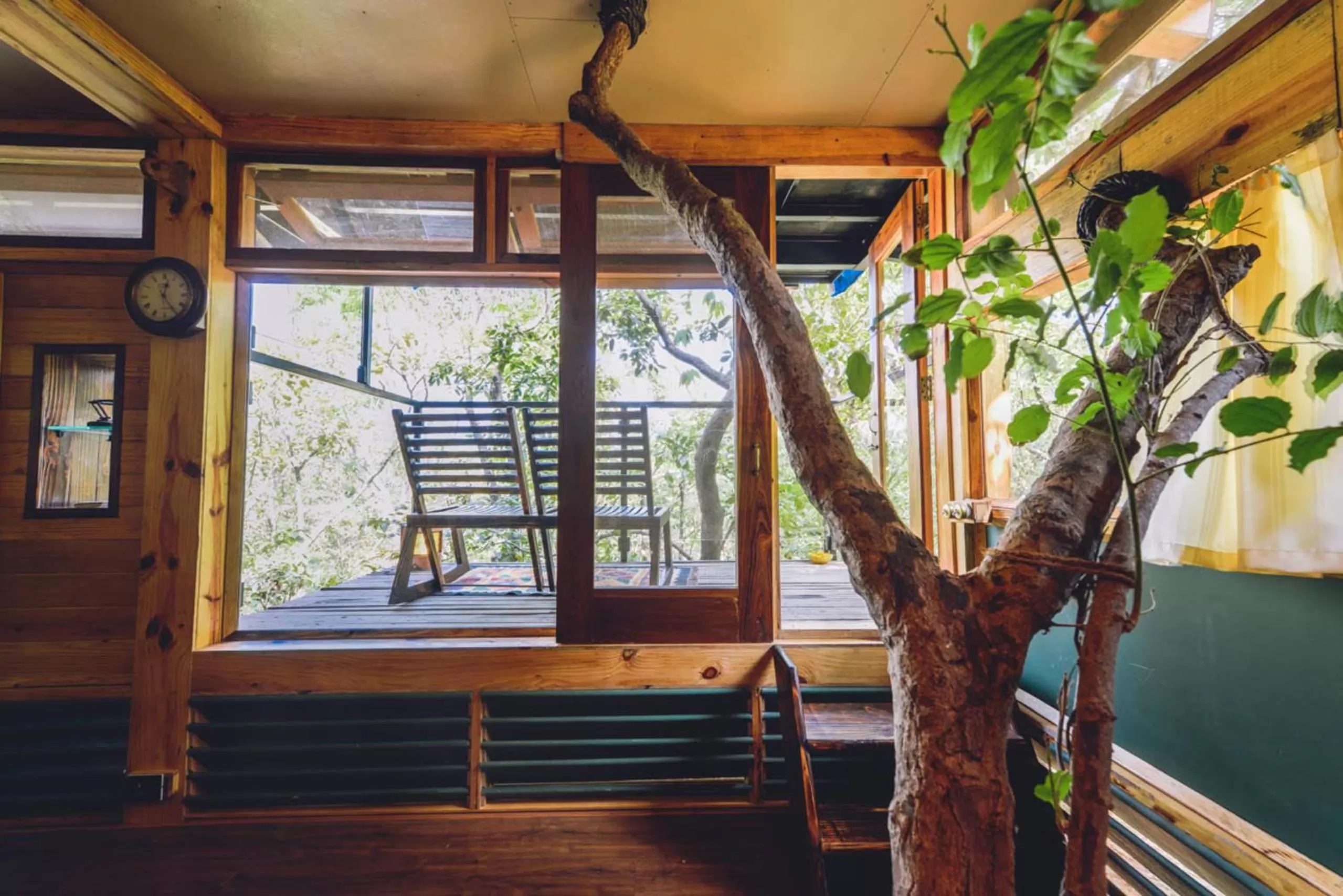 Deluxe King Room - Woods in The Machan