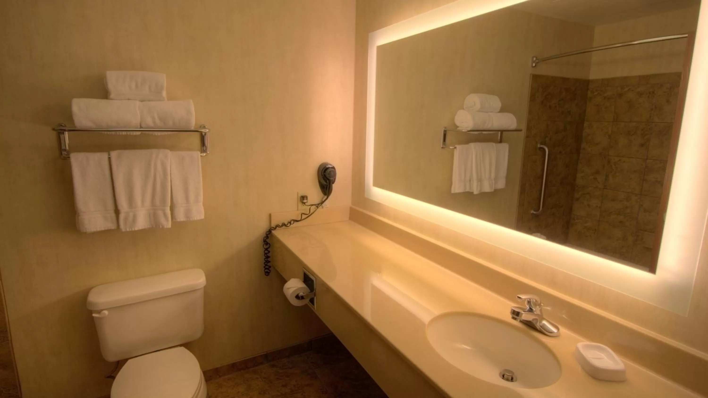 King Room - Hearing Accessible in Holiday Inn Express & Suites Sioux Center by IHG