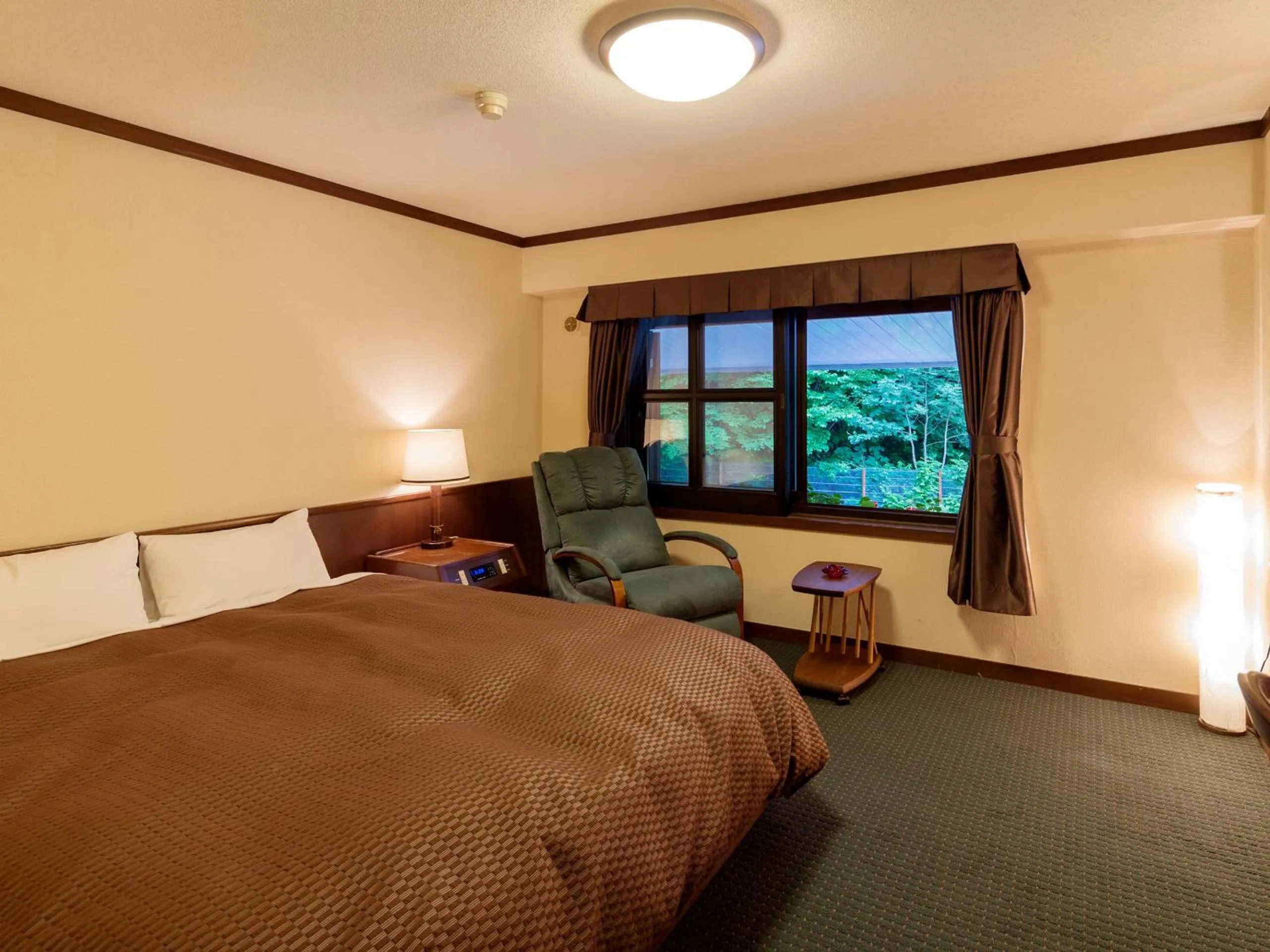 Double Room - single occupancy - Non-Smoking  in Hotel Hotaka