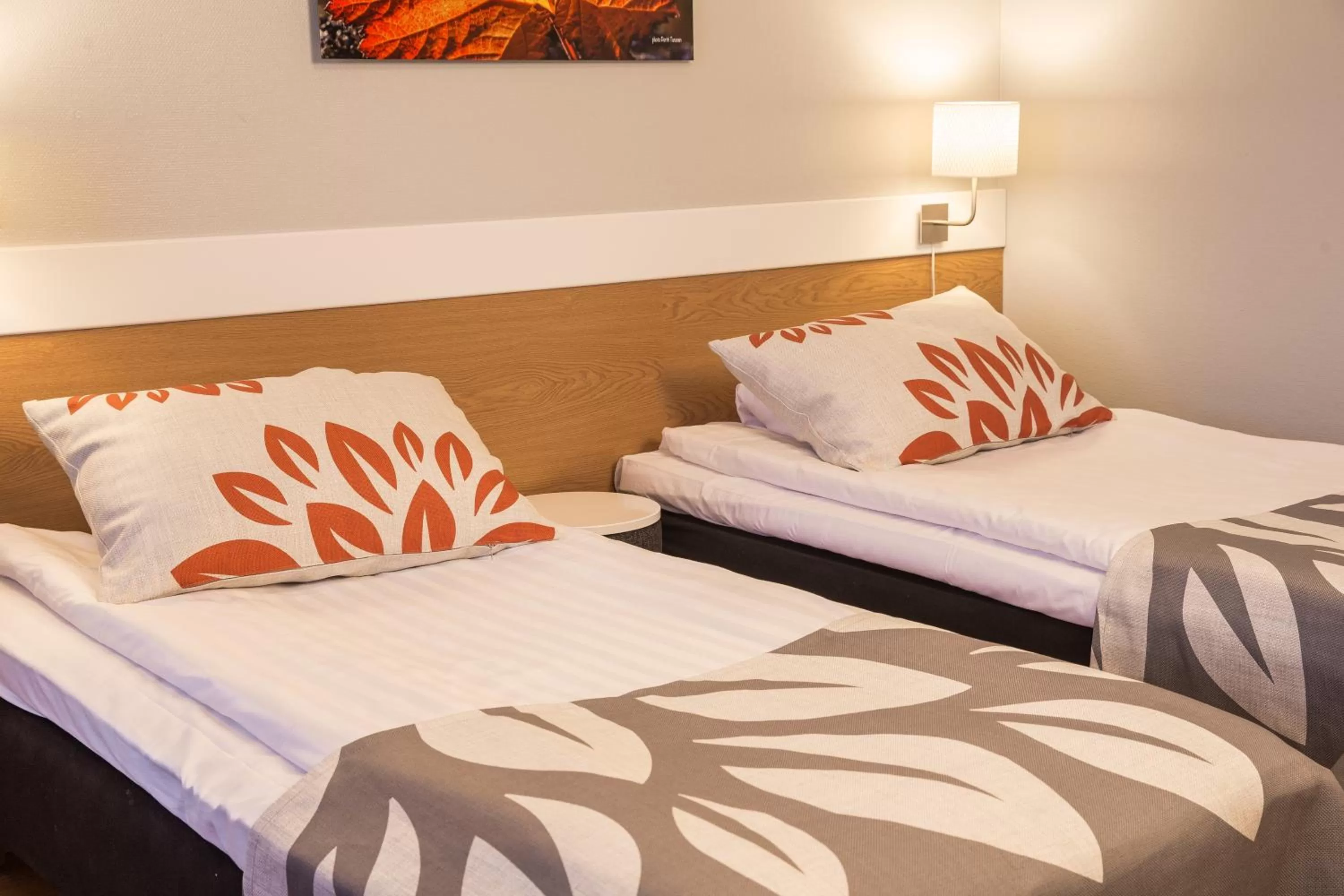 Twin Room in Park Hotel Tornio