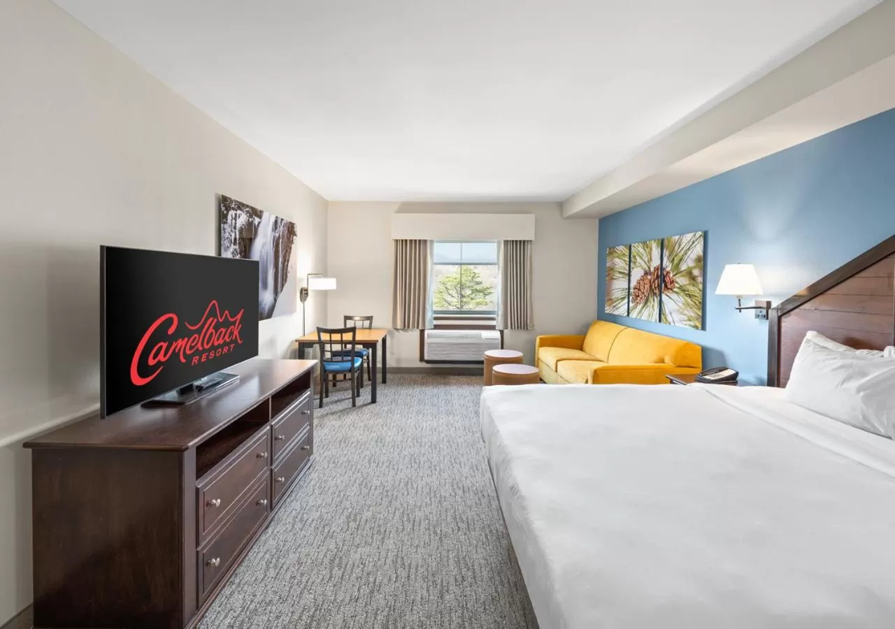 Suite in Camelback Resort