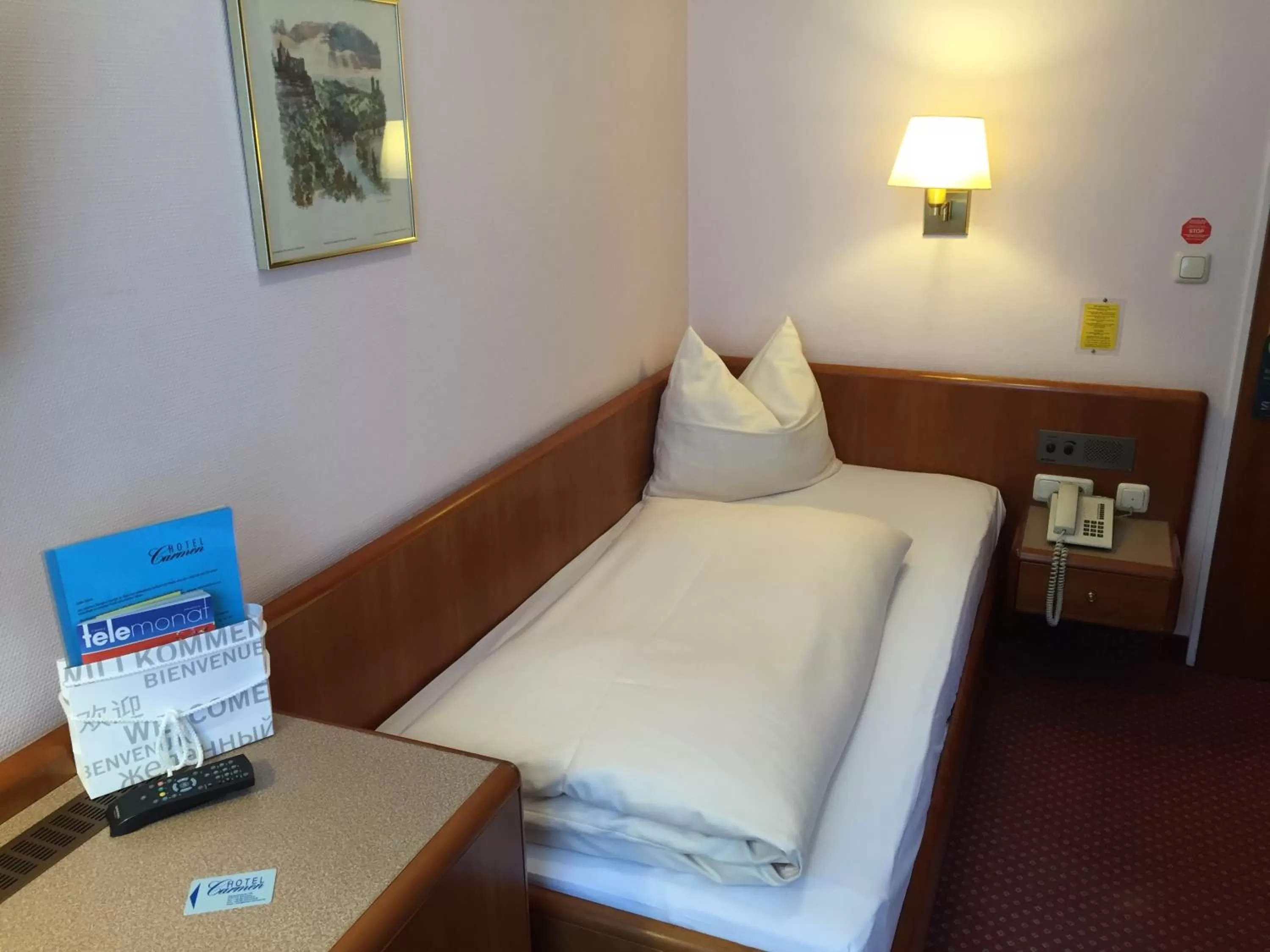 Economy Single Room in Hotel Carmen