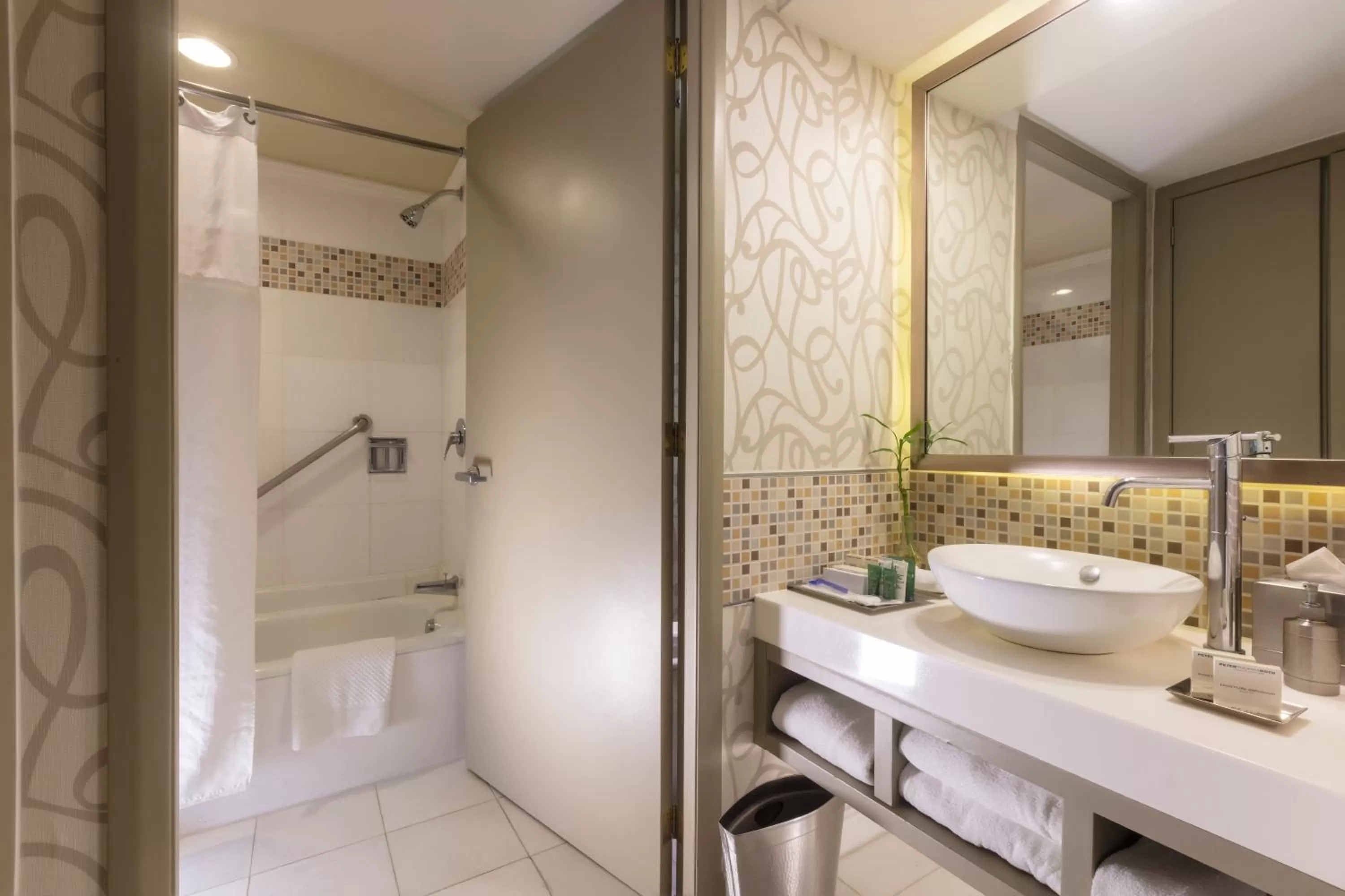 Premium Level Superior in Barcelo Guadalajara