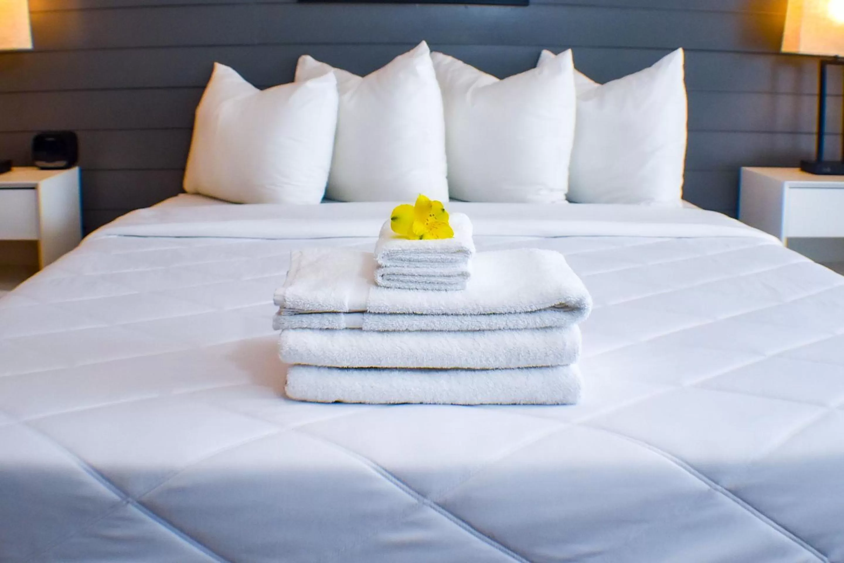 Queen Room in Devon Shores