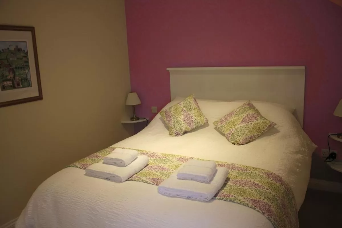 Deluxe Double Room with Shower - single occupancy in The Anchor Inn