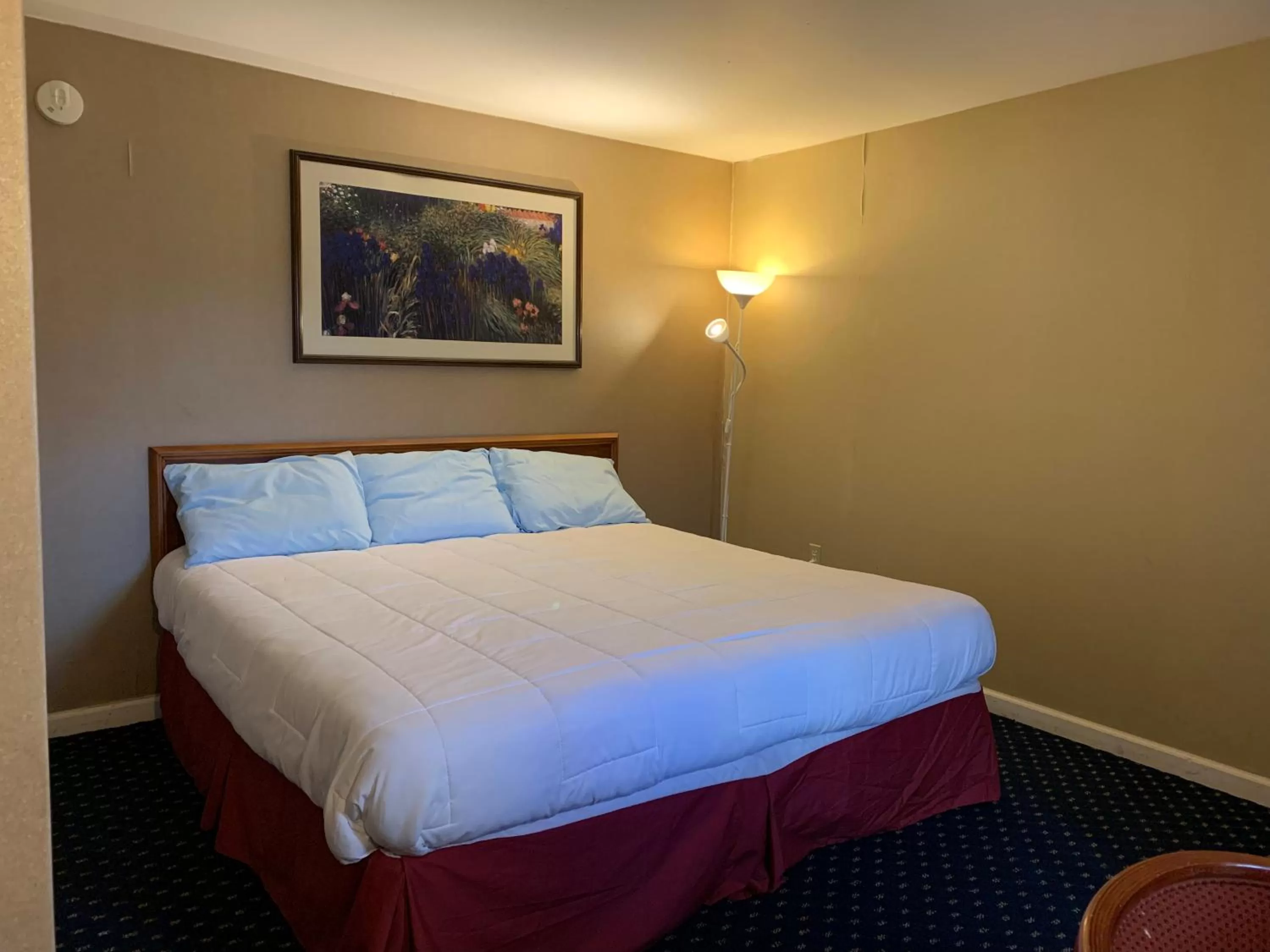 Standard King Room in Scottish Inns Fayetteville