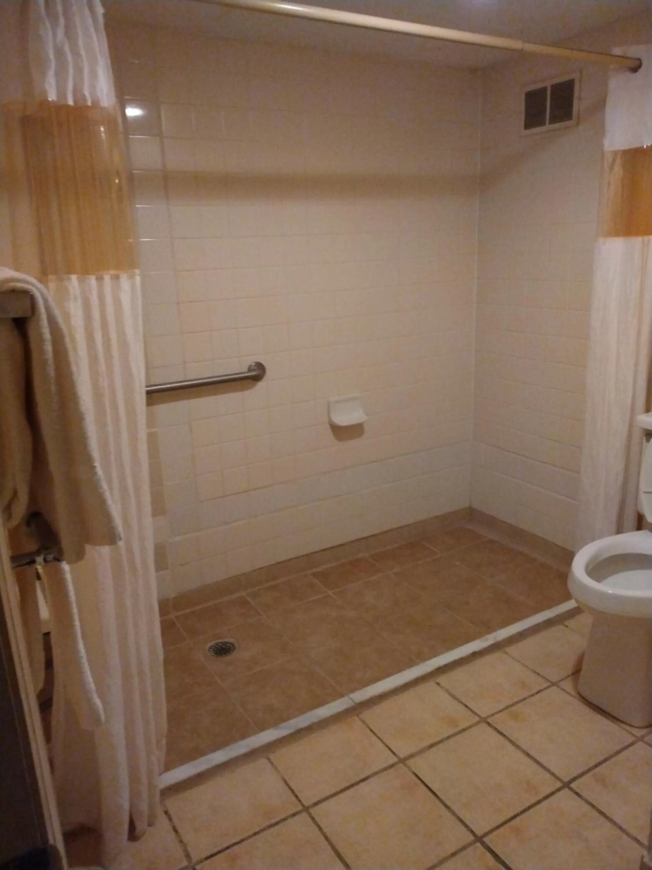 King Room - Accessible/Non Smoking in Rodeway Inn Cleveland TN I-75