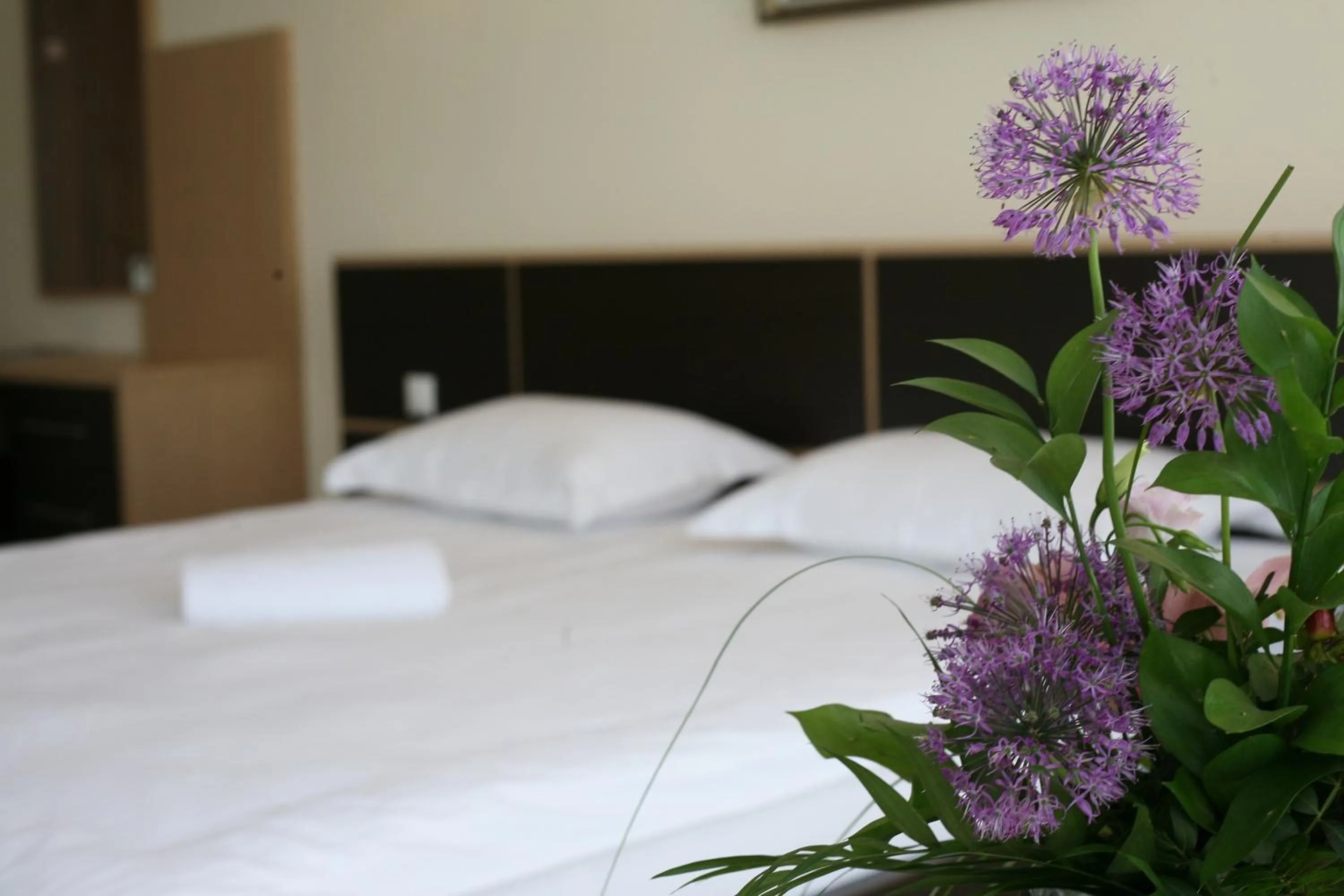 Superior Double Room - single occupancy in Jazz Hotel