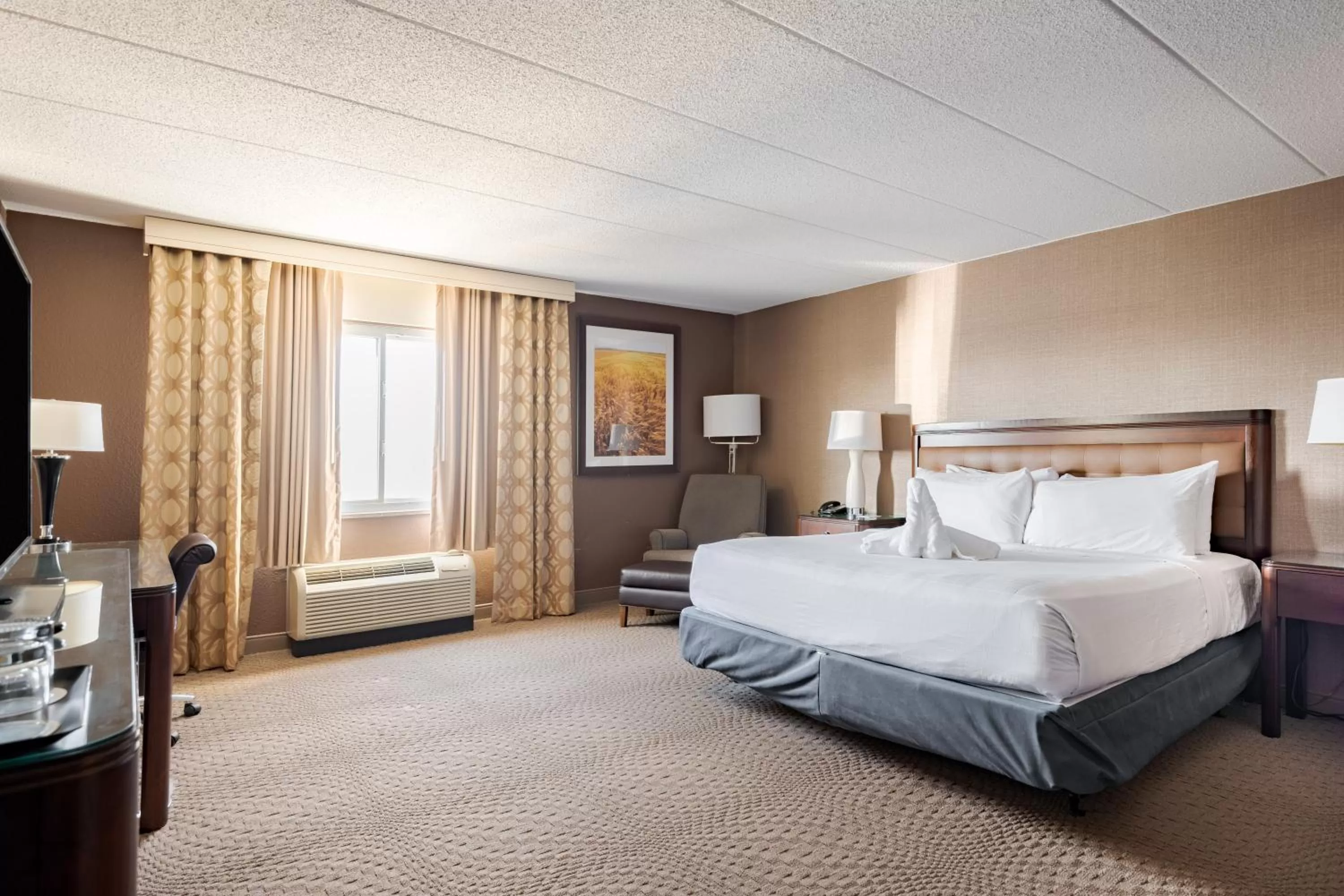King Studio Suite - Non-Smoking in Wyndham Omaha Hotel - West Dodge