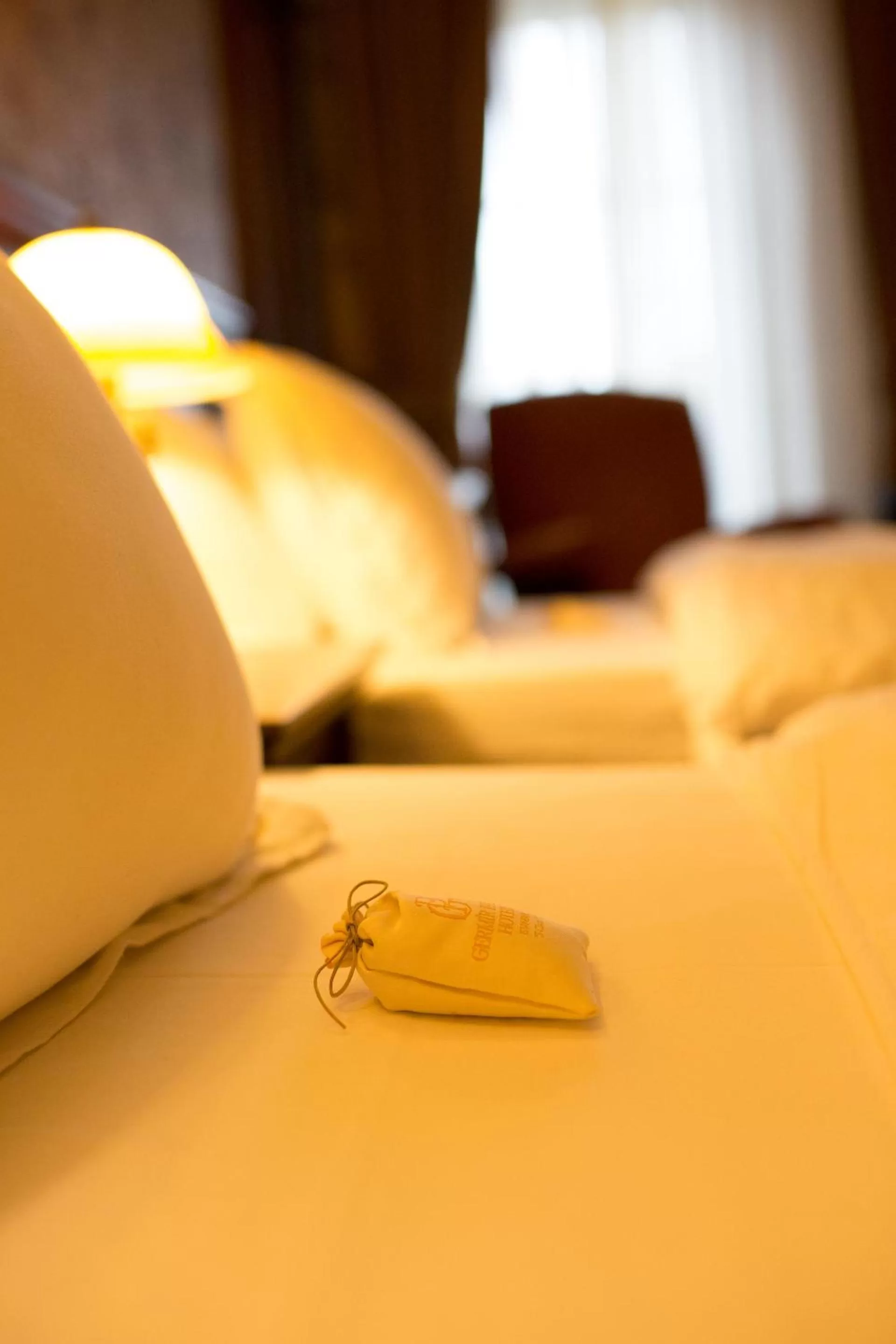 Deluxe Twin Room with Bosphorus and Park View in Germir Palas Hotel - Special Class