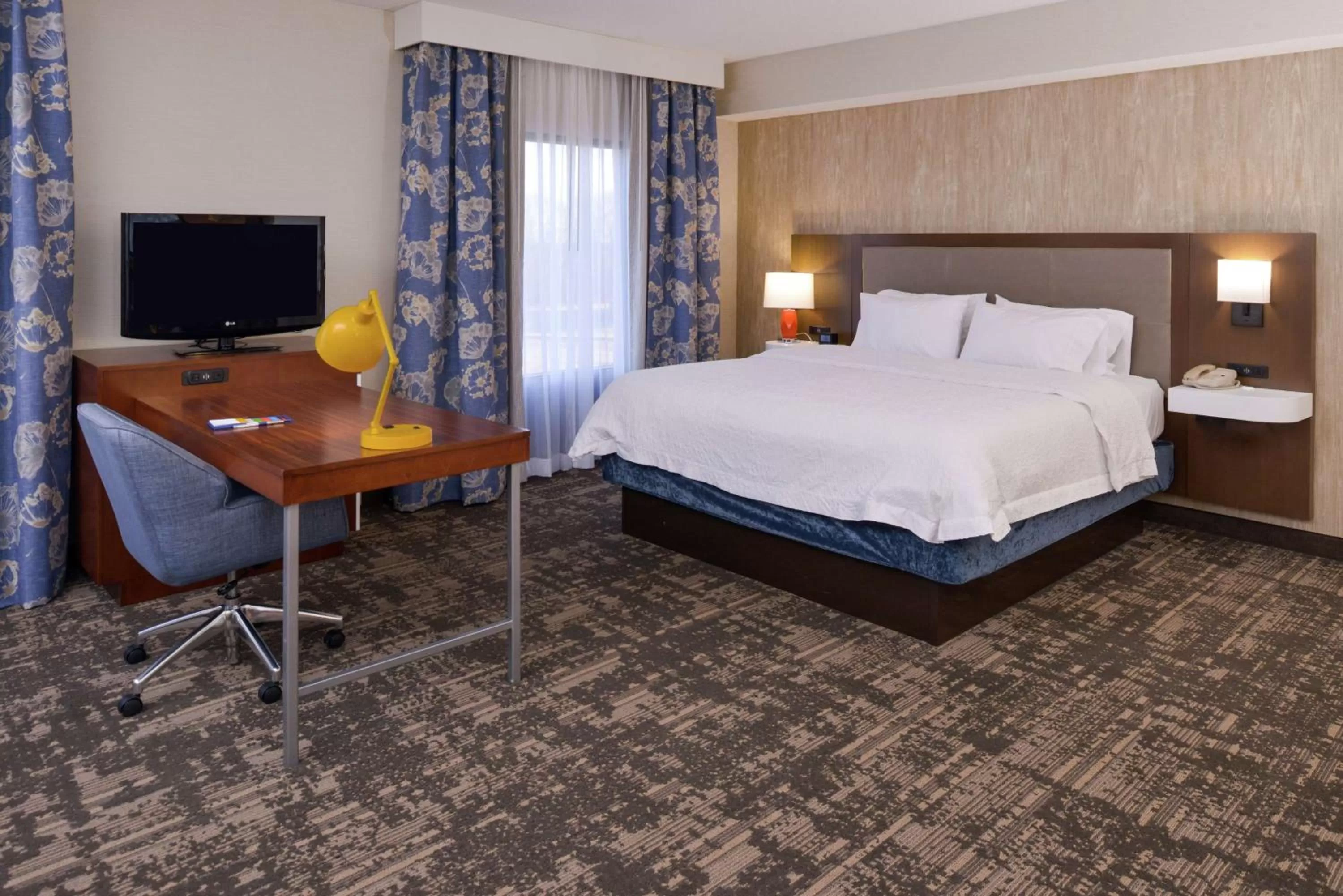 King Presidential Suite in Hampton Inn & Suites Wilmington