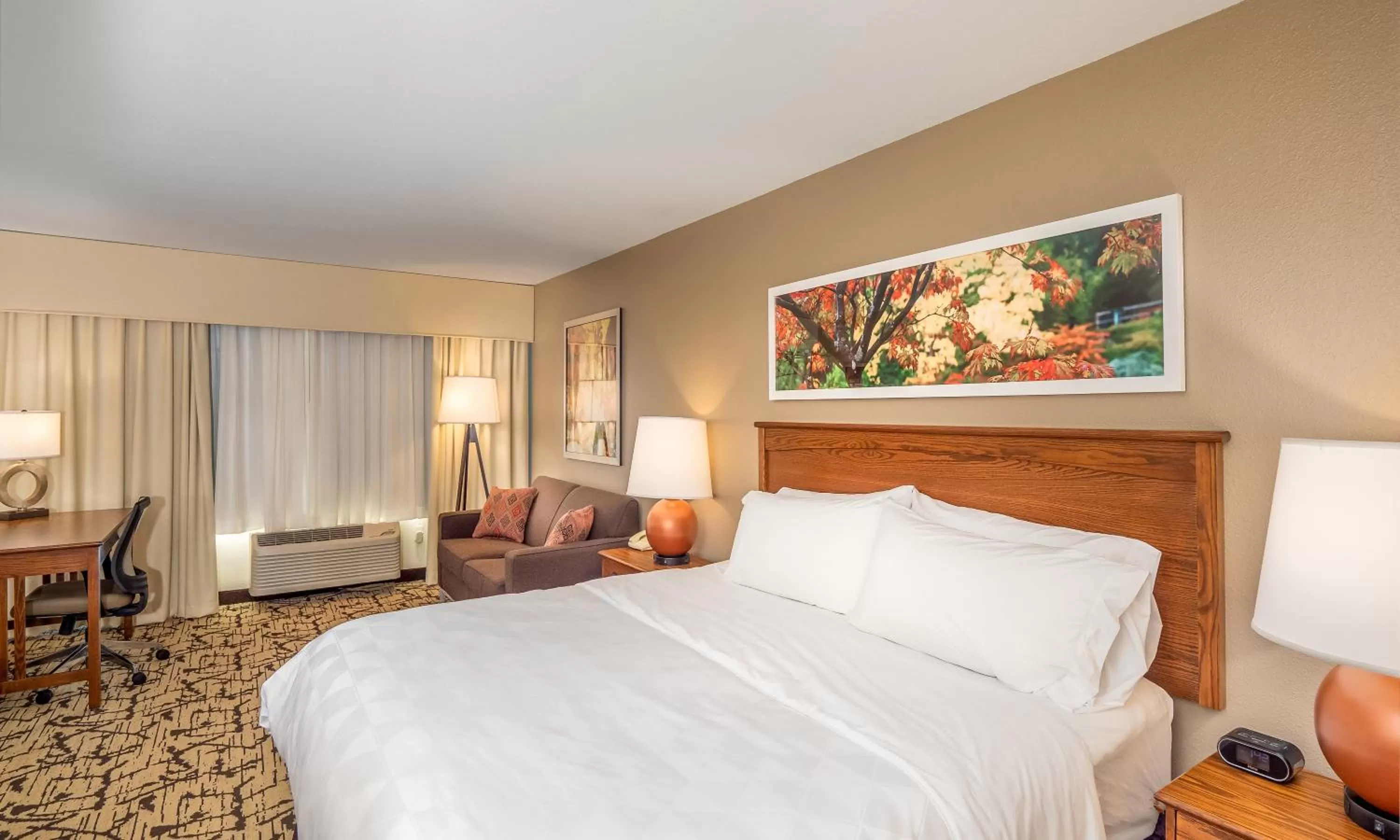 Queen Suite - Disability Access in Holiday Inn Stevens Point - Convention Center by IHG