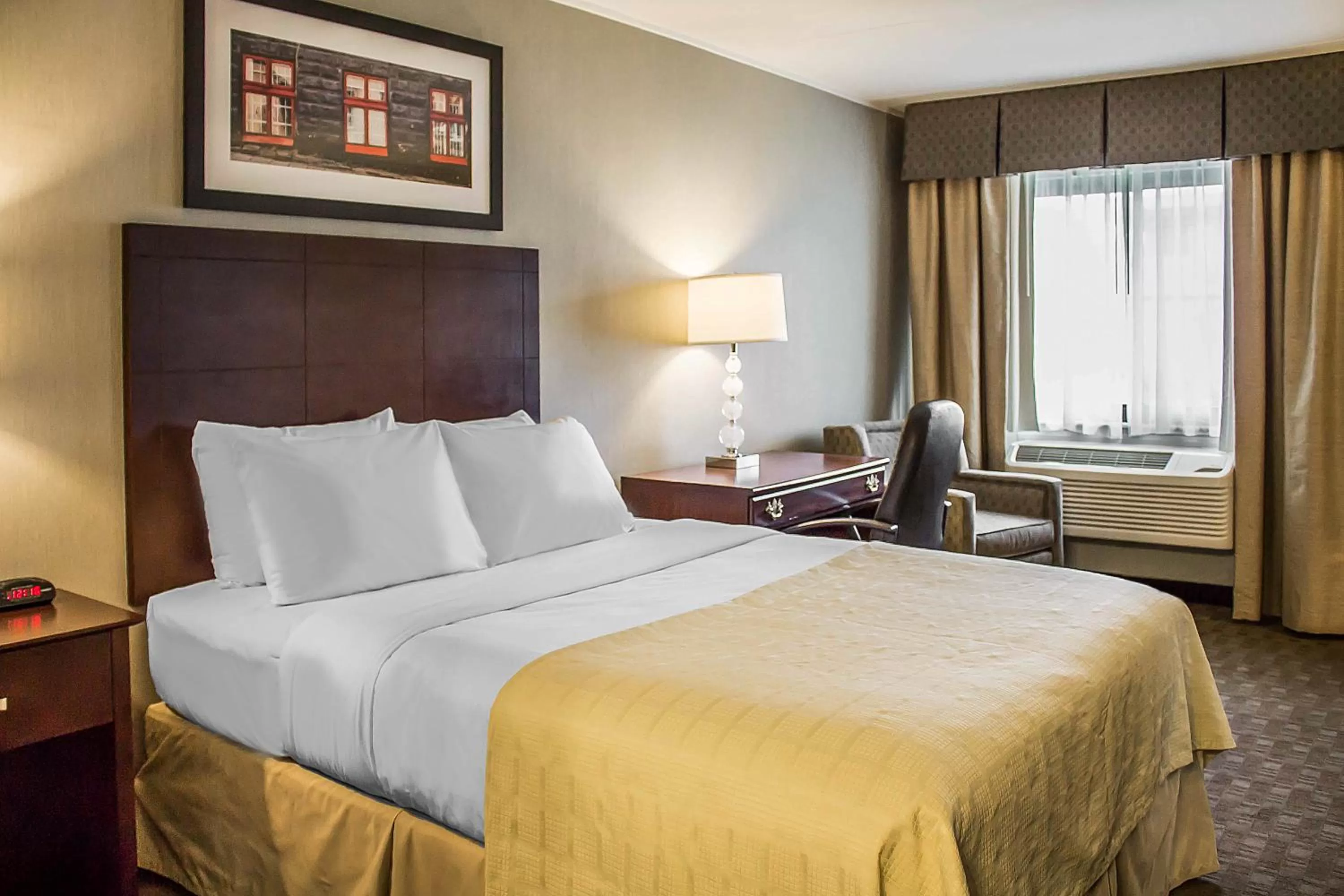 Queen Room - Non-Smoking in Quality Inn Cambridge