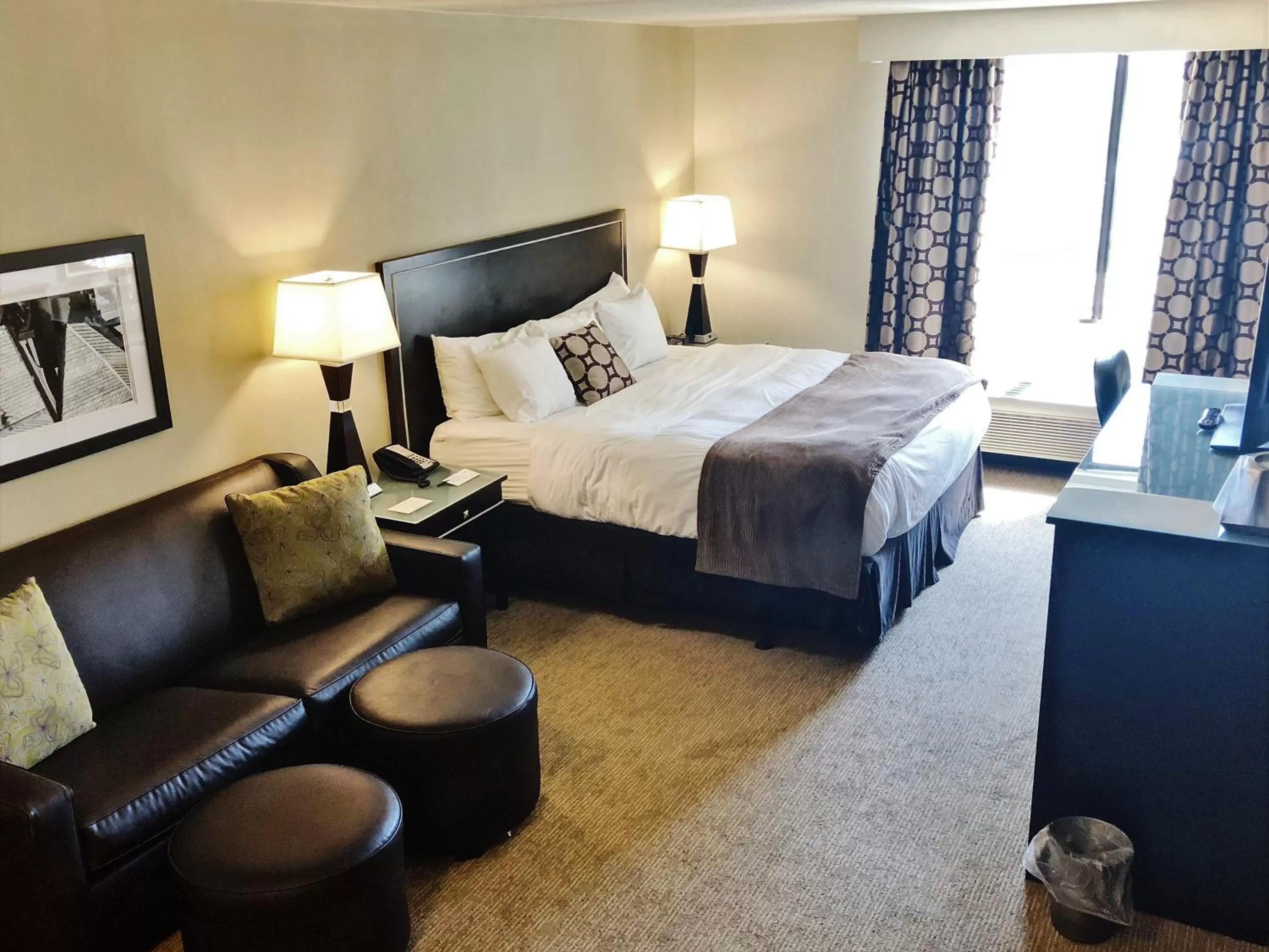 Executive Queen Room with Sofa Bed - Non-Smoking in Radisson Hotel Bismarck