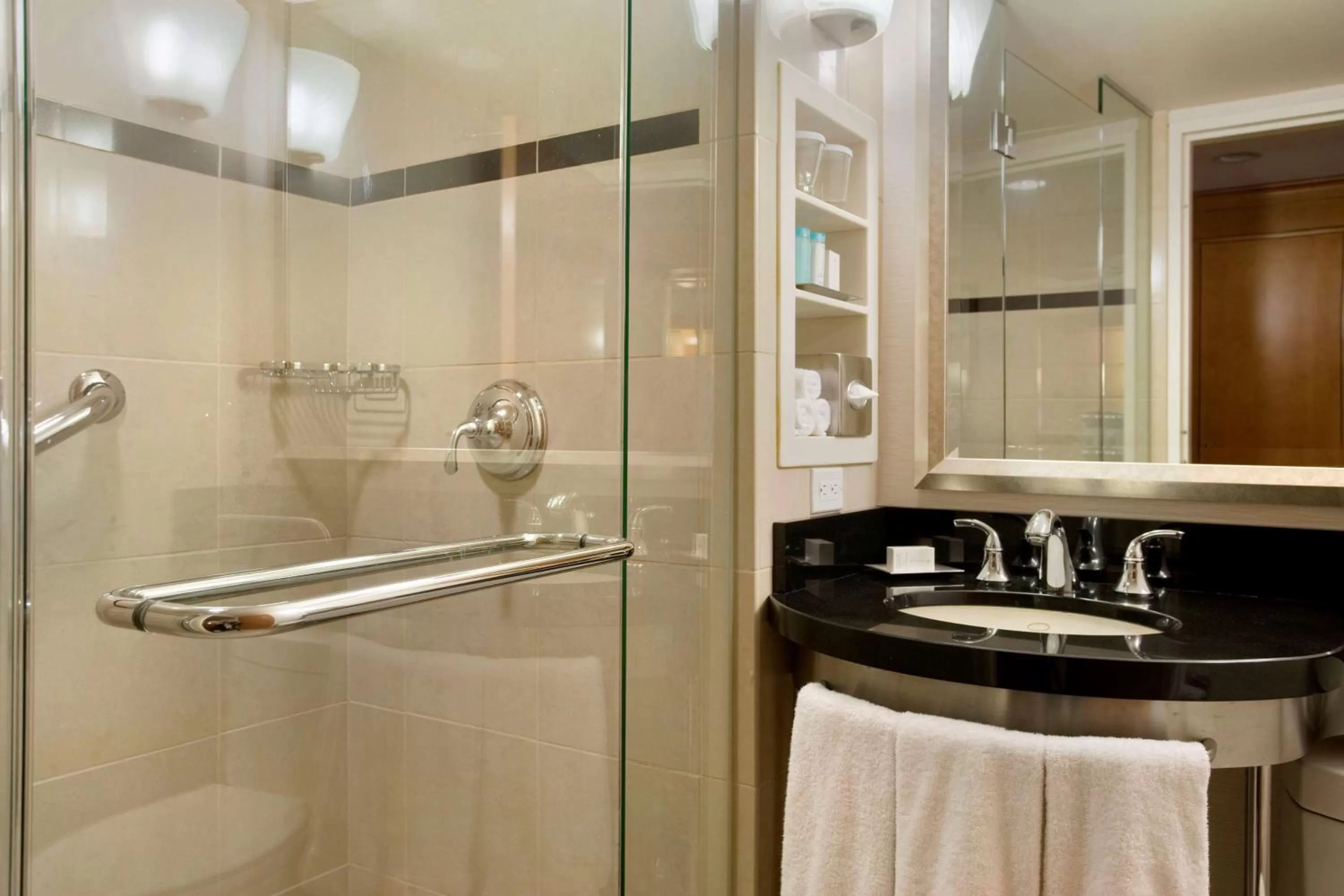 Skyline Room 1 King Mobility Access with Roll in Shower in New York Hilton Midtown