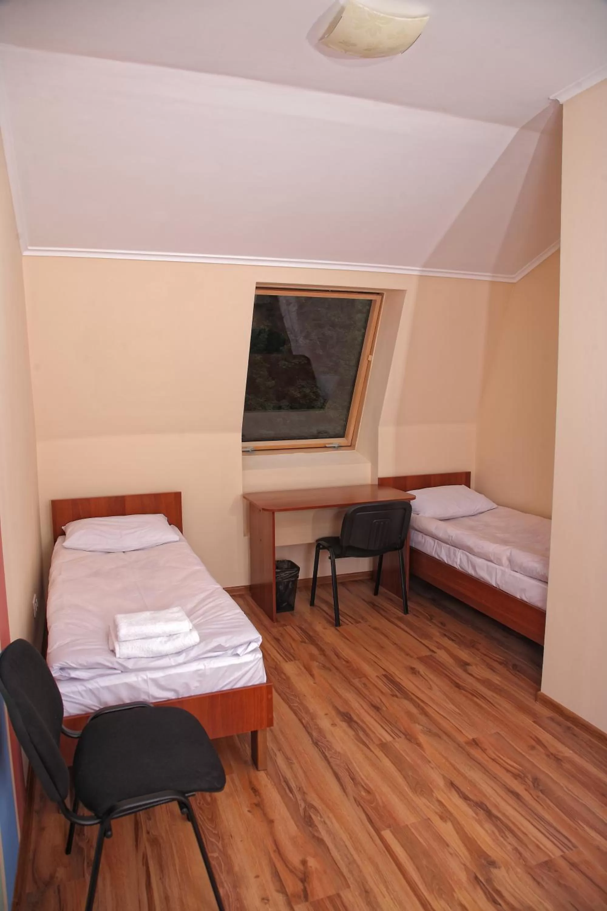 Standard Twin Room in Budget Hotel Ekotel