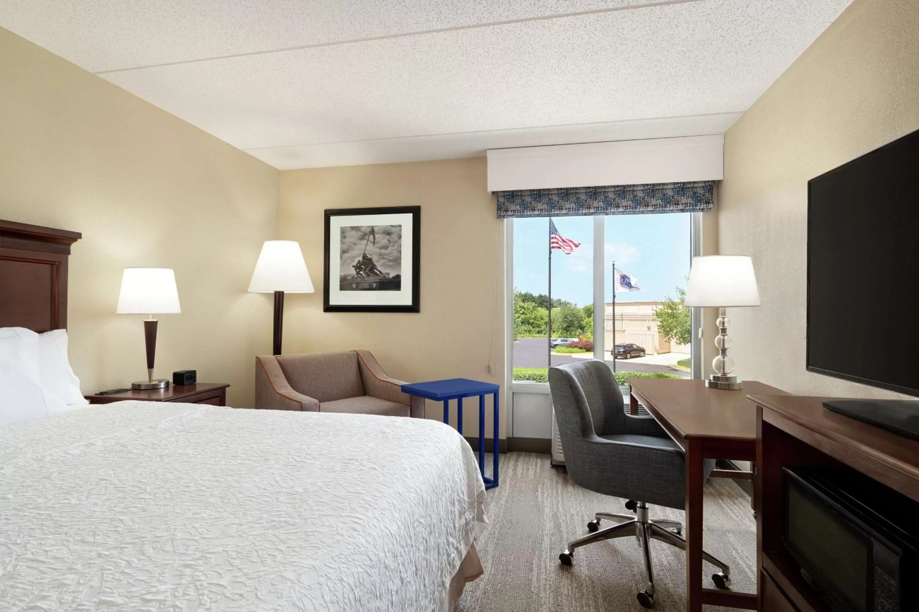 King Room Mobility/Hearing Accessible - Non-Smoking in Hampton Inn Dulles/Cascades