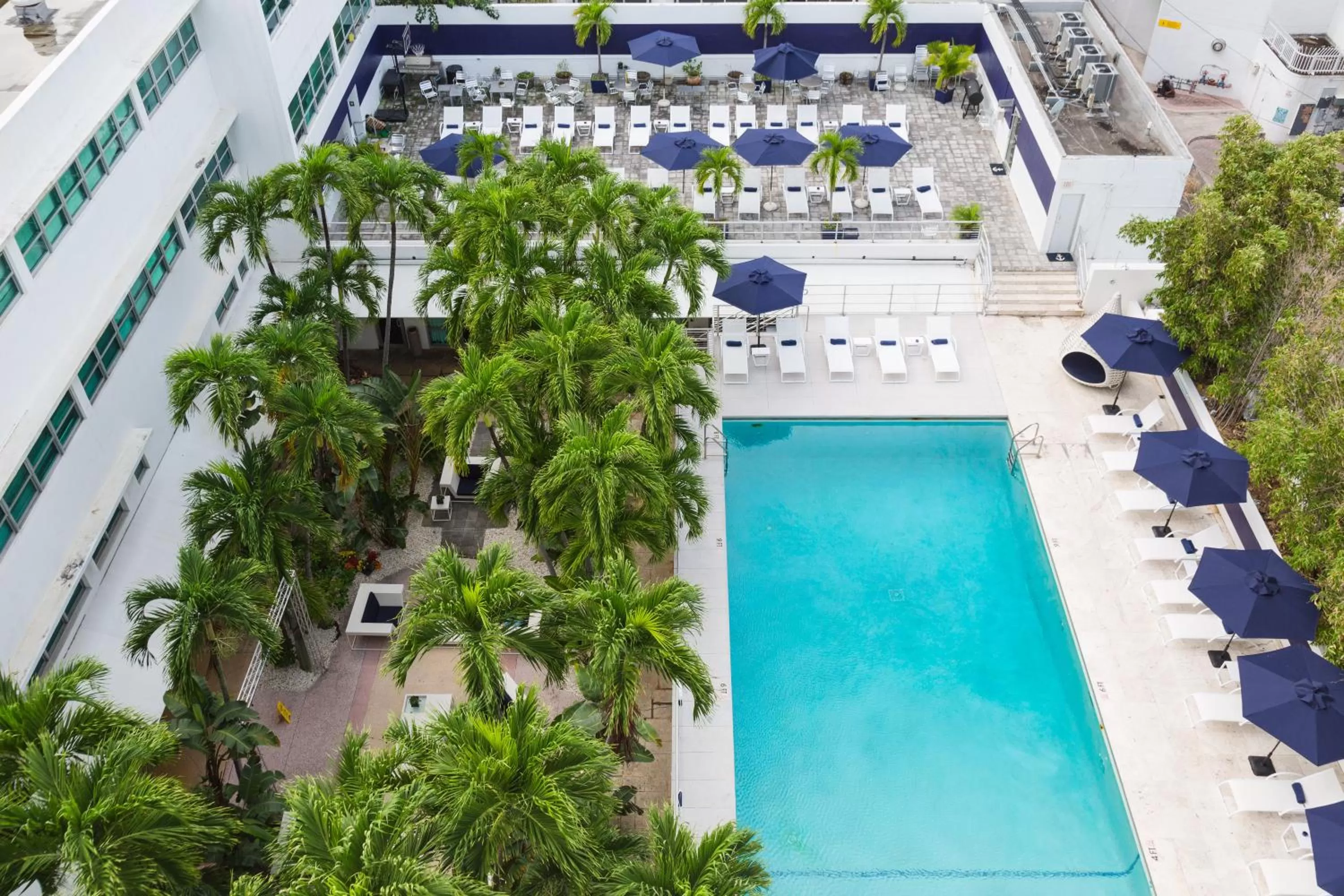 Swimming pool in Albion Hotel