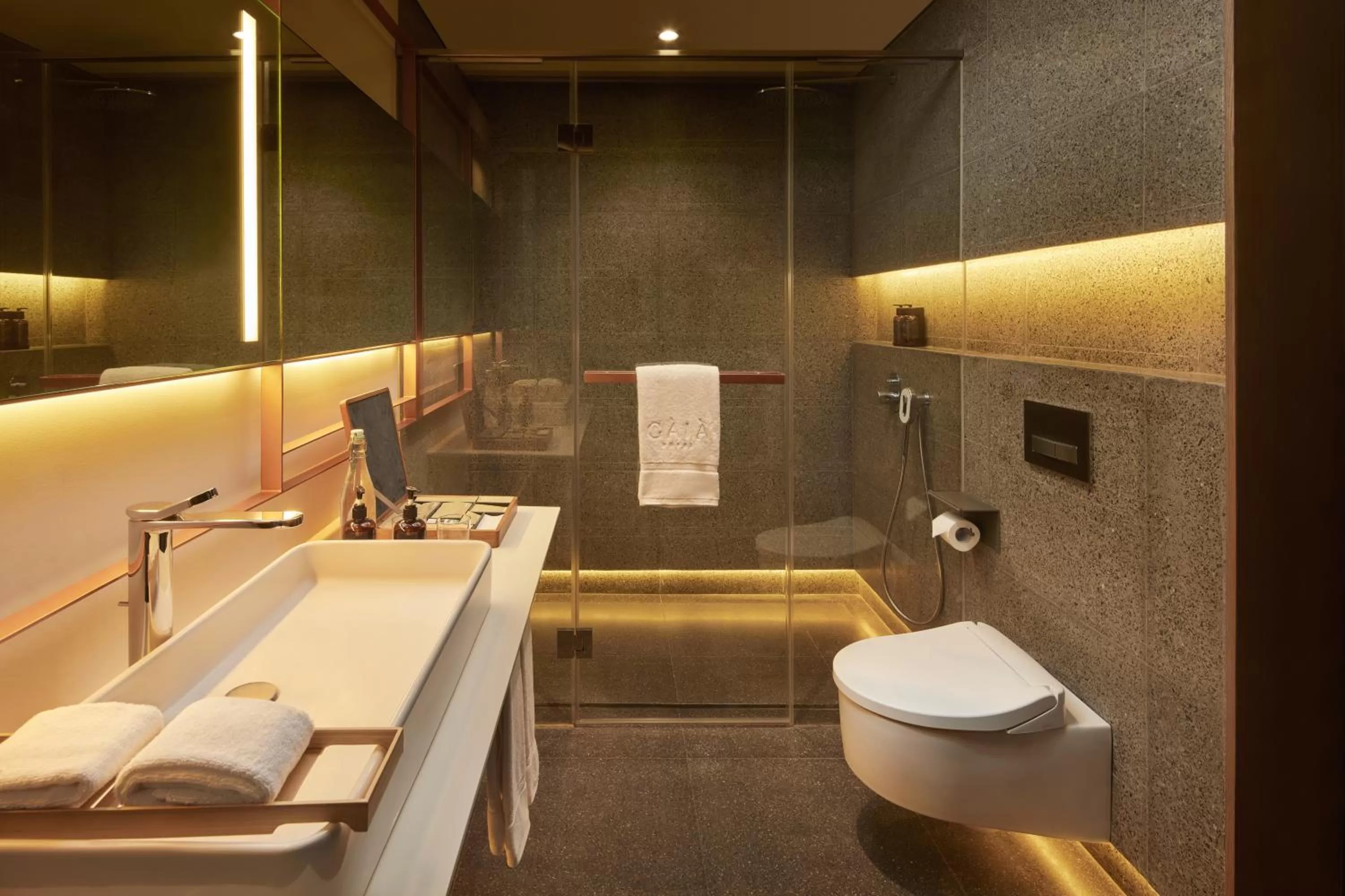 Deluxe Twin Mountain View with Balcony in The Gaia Hotel Bandung