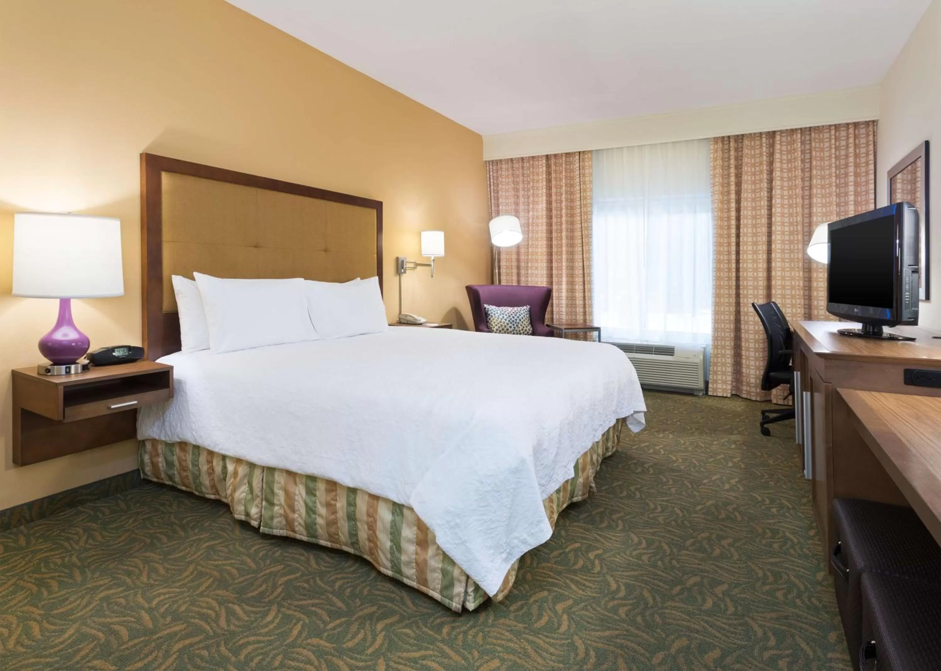 King Room with King Bed - Non-Smoking in Hampton Inn by Hilton Odessa