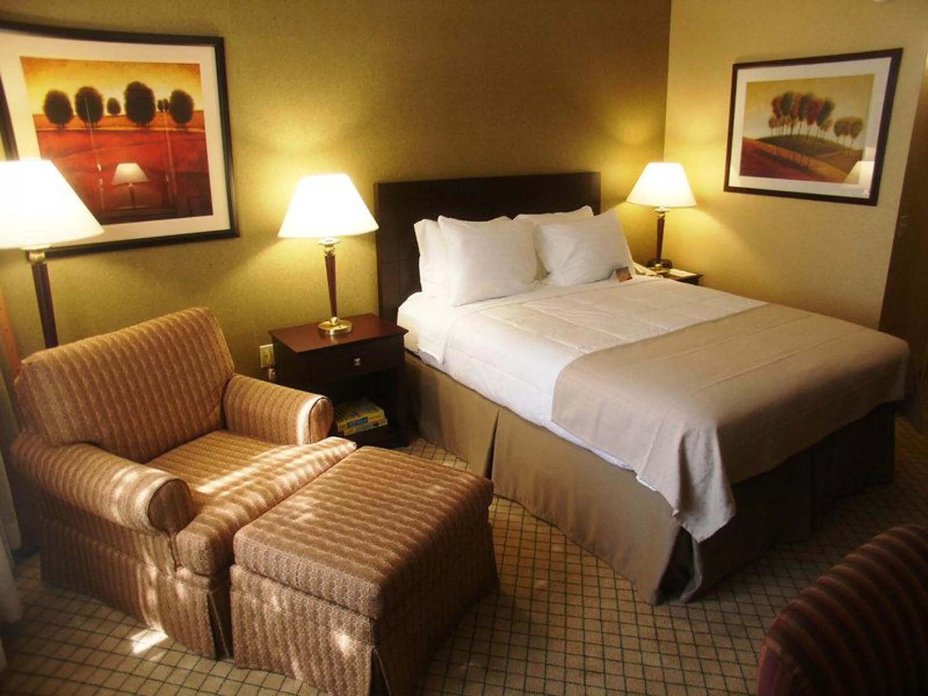 Double Room - Mobility Access with Roll-in Shower in Armoni Inn & Suites