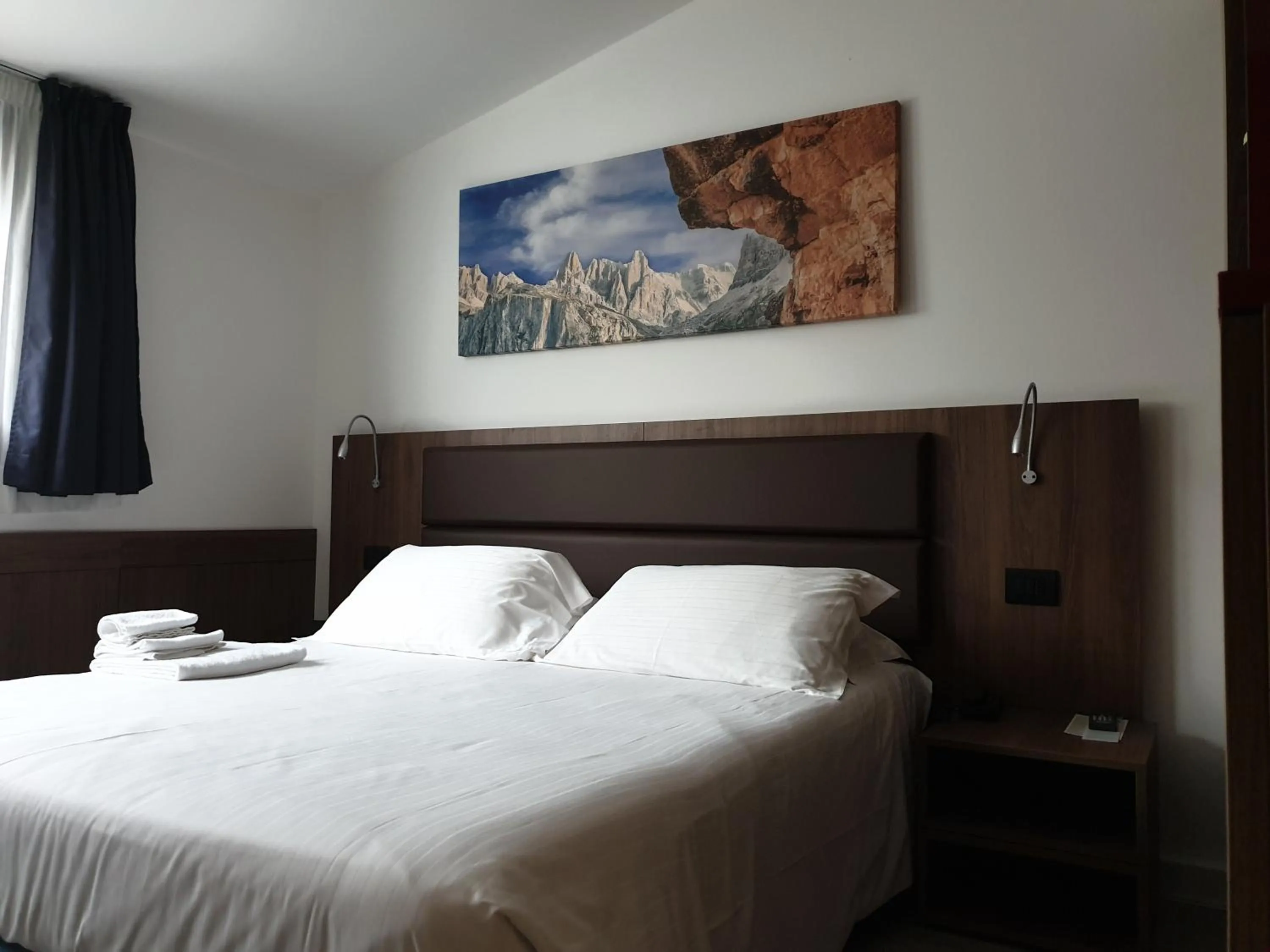 Basic Double Room in Albergo Delle Alpi