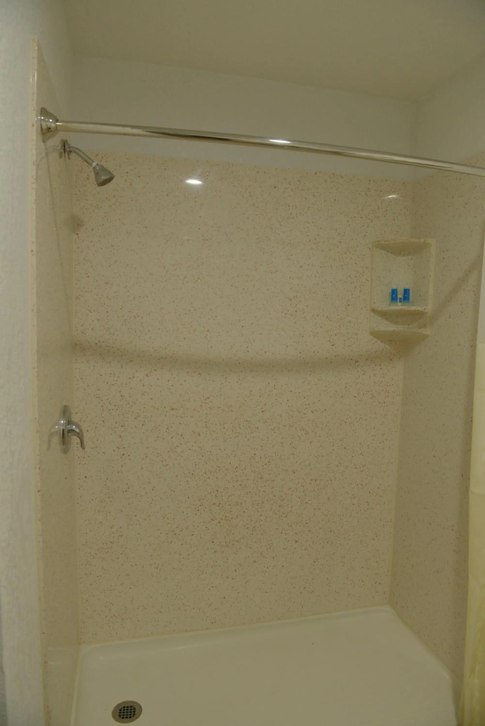 Efficiency Suite - Non-Smoking in Rodeway Inn & Suites Winter Haven Chain of Lakes