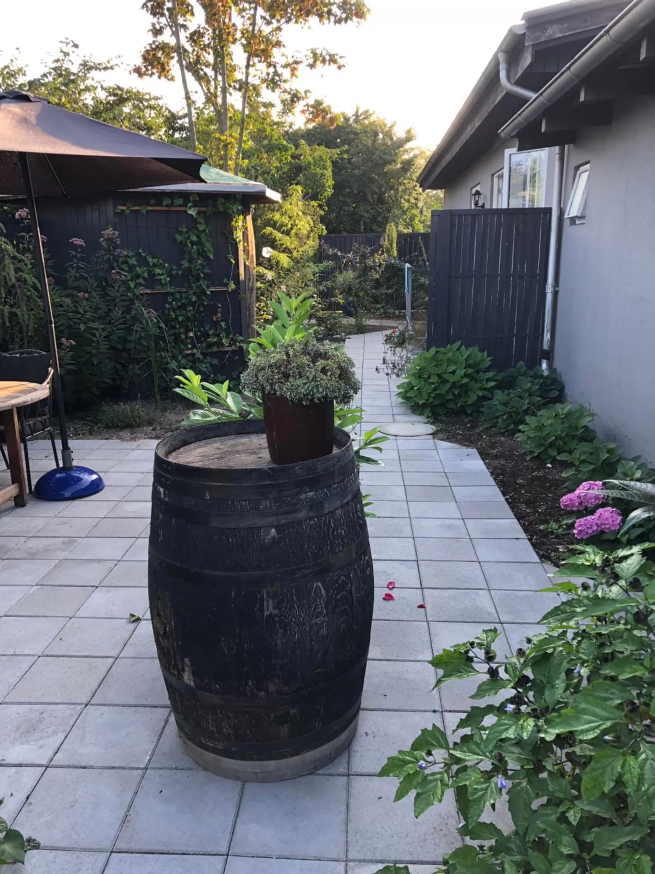 Twin Room with Bathroom in Molino