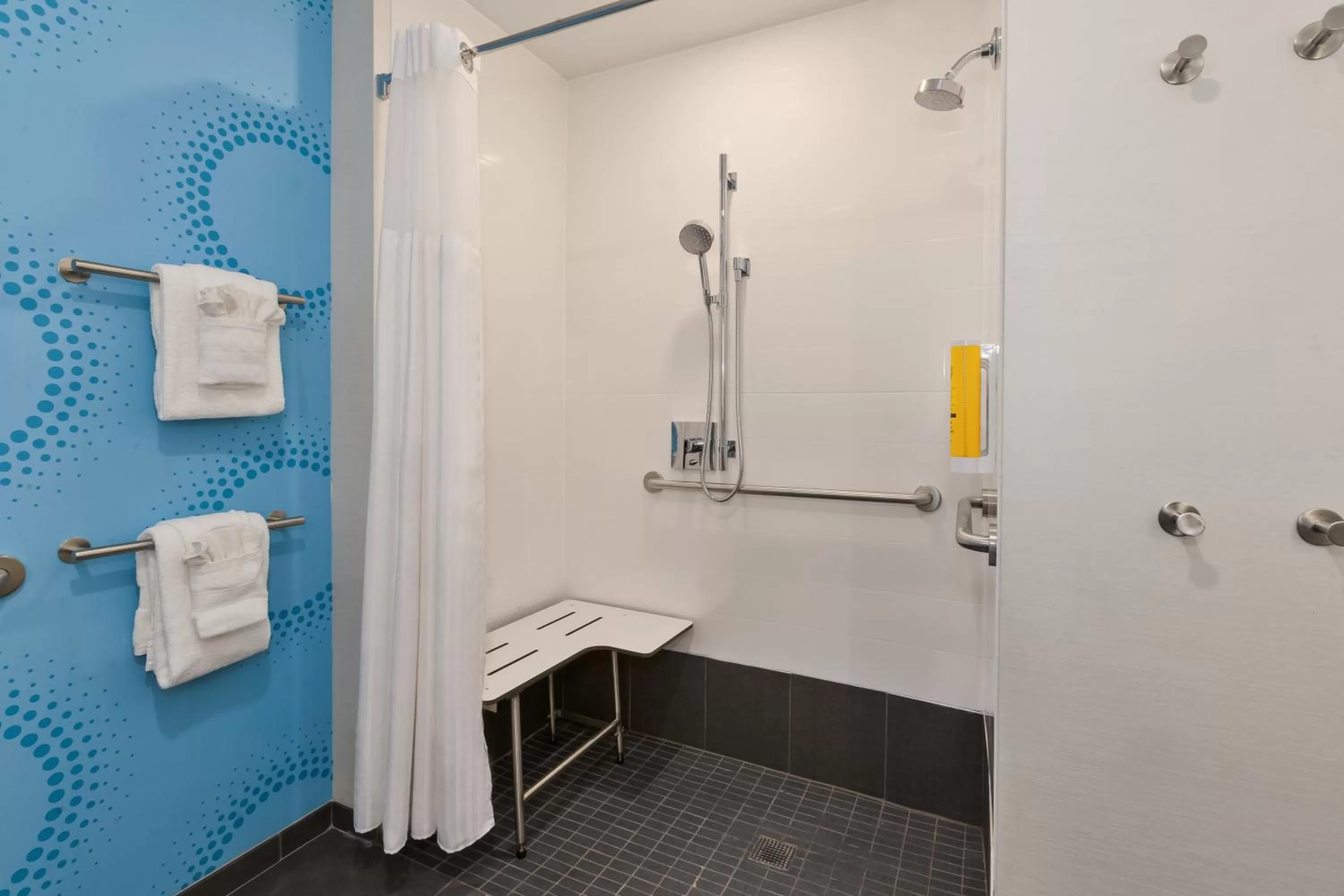 Queen Room - Mobility Accessible with Roll In Shower in Tru By Hilton Comstock Park Grand Rapids, MI