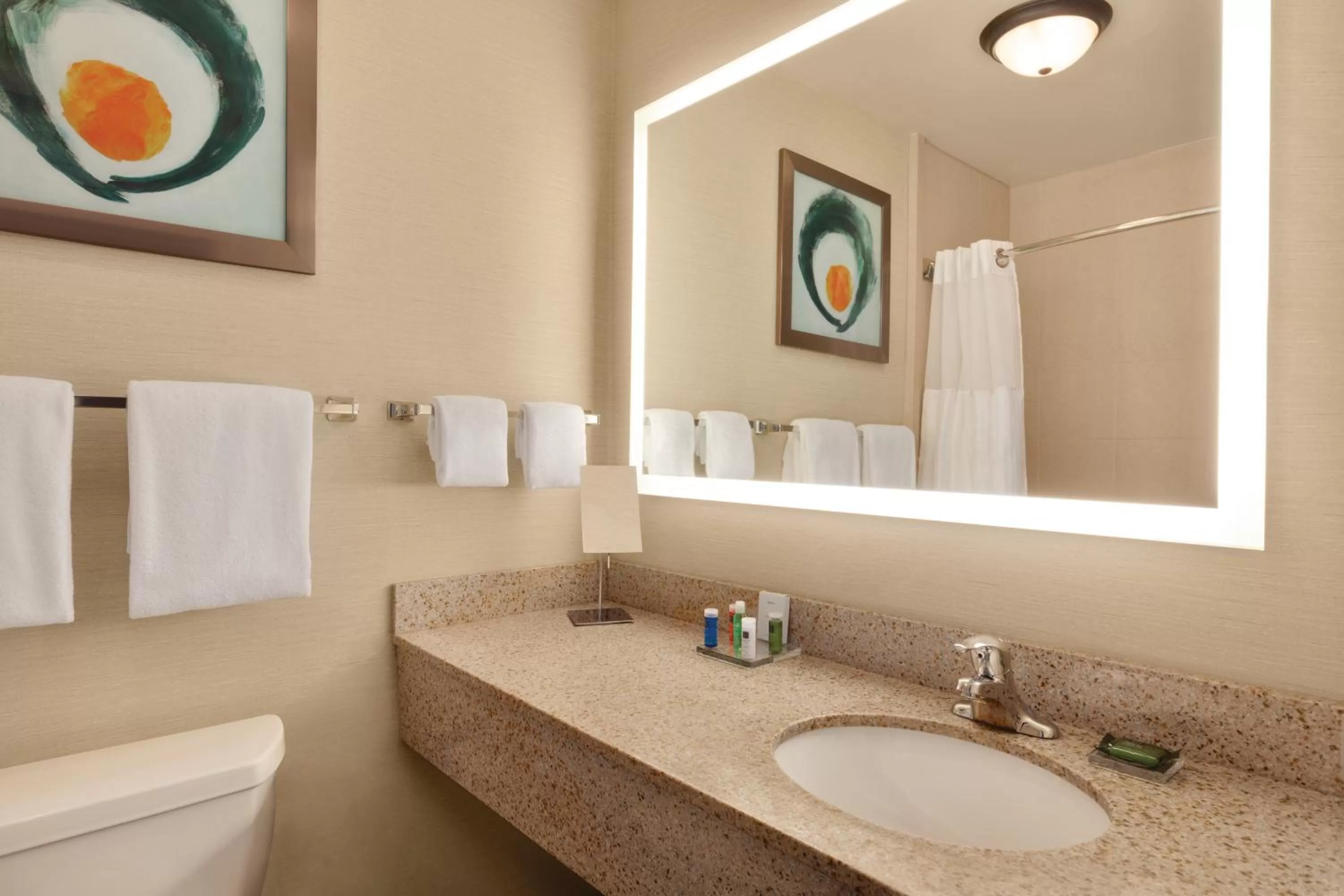 One-Bedroom King Suite with Rain Shower - Non-Smoking in Radisson Hotel Lenexa Overland Park