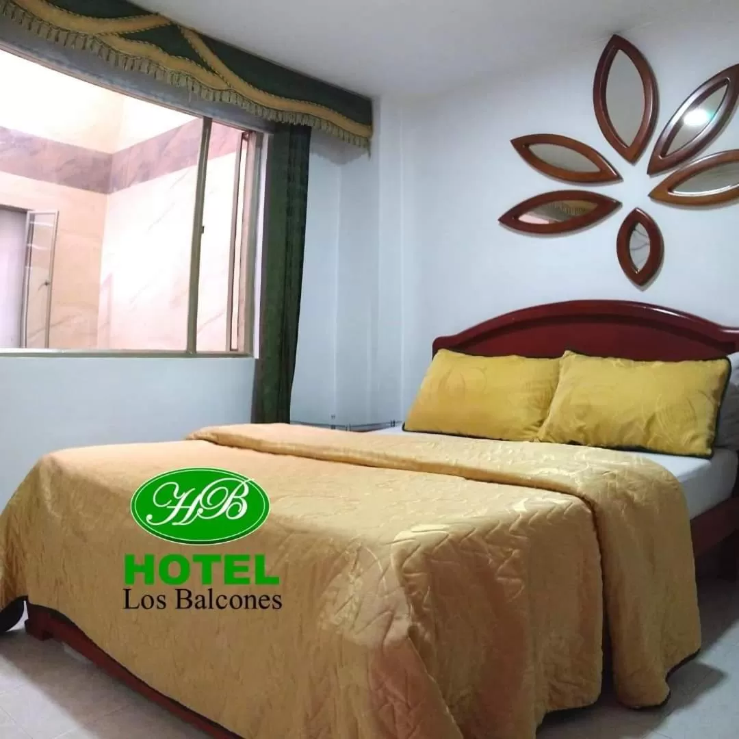 Single Room in HOTEL LOS BALCONES
