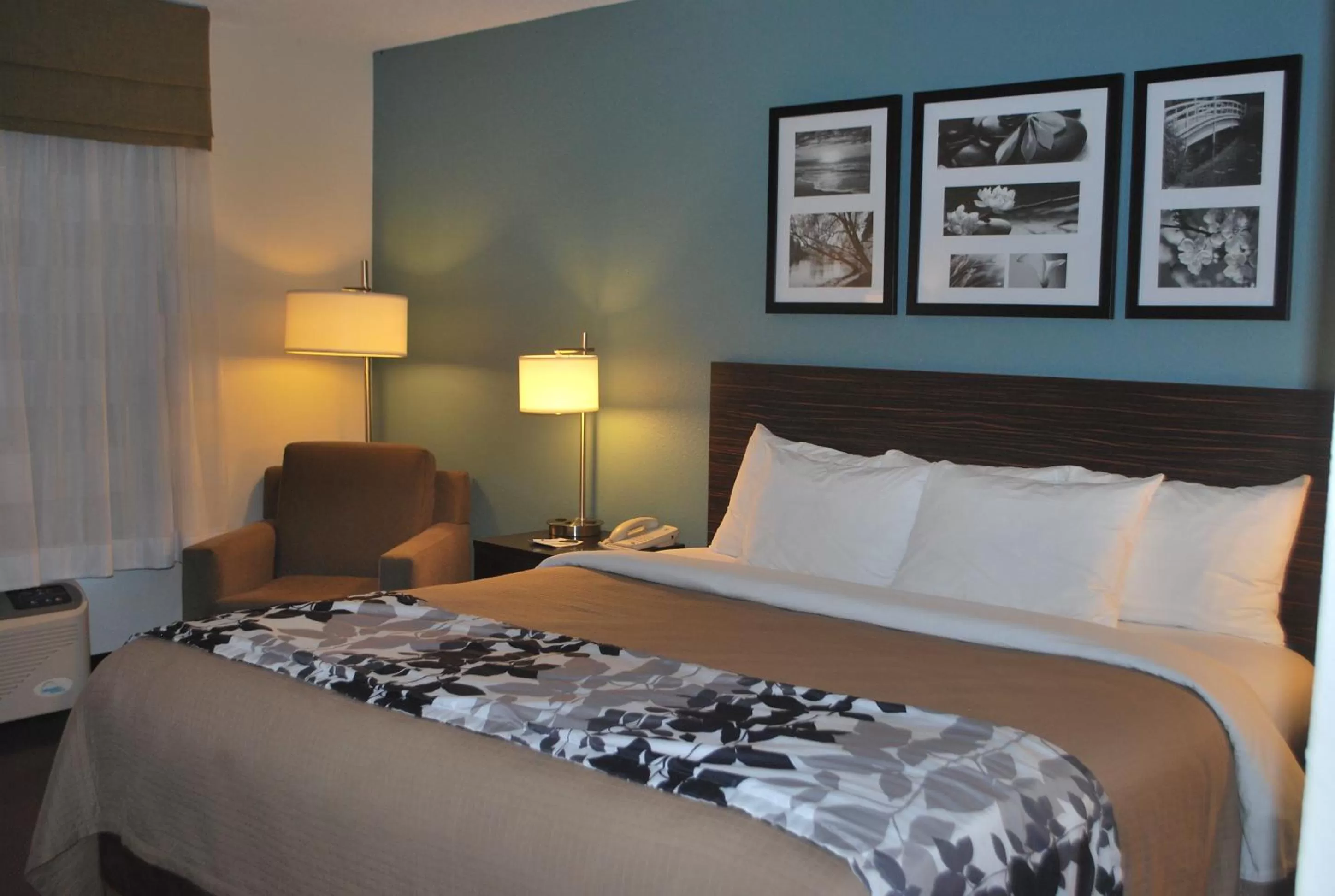 Standard King Room in Sleep Inn & Suites Clintwood