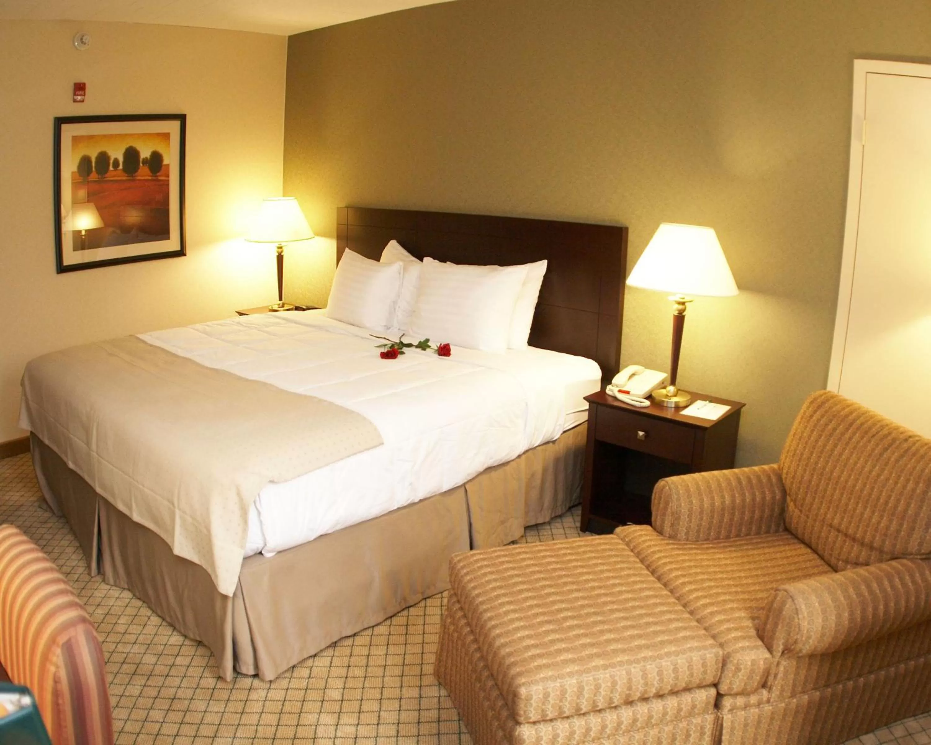 Queen Room - Non-Smoking in Armoni Inn & Suites