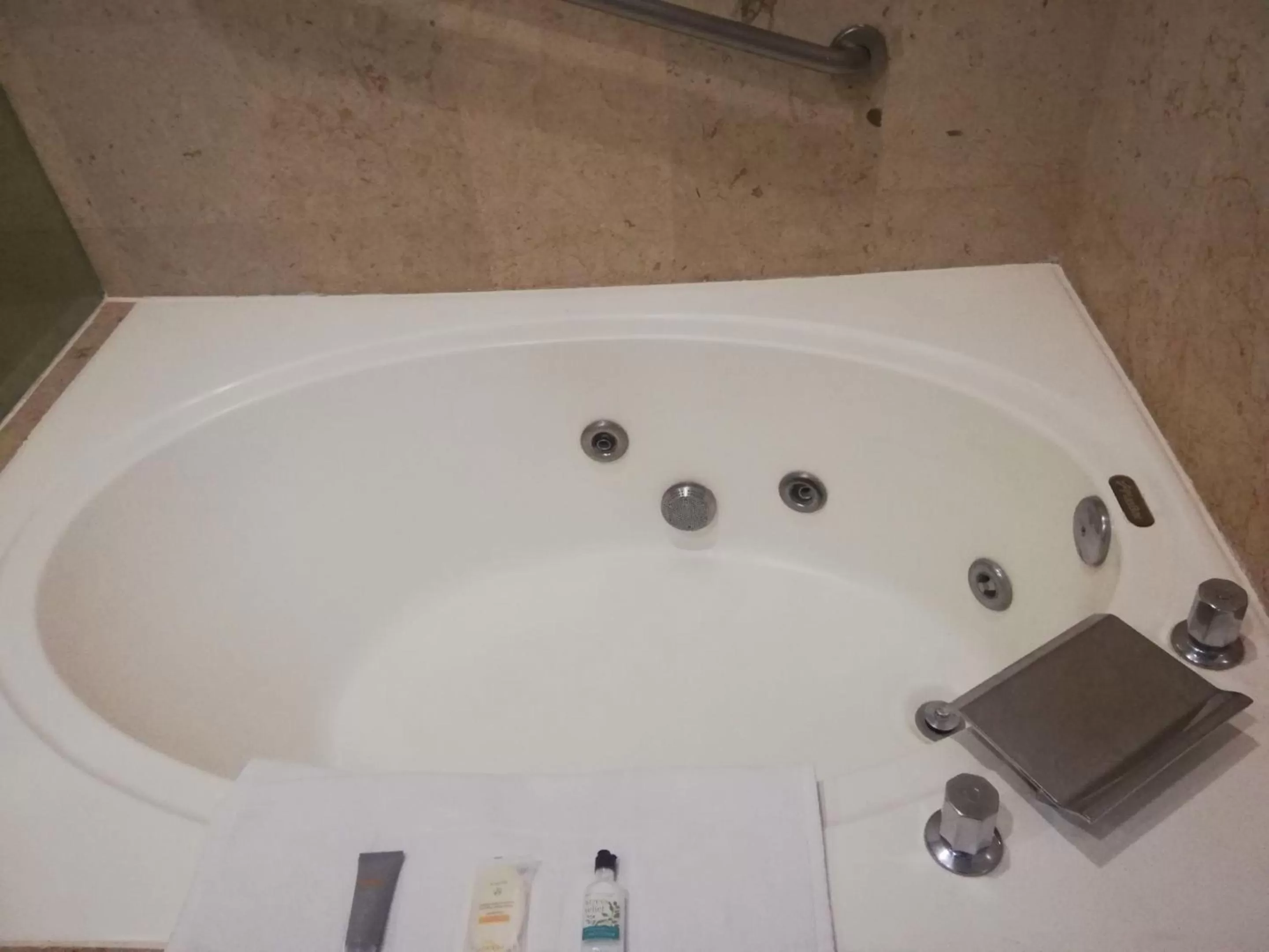 Master Suite King  in Real Inn Torreon