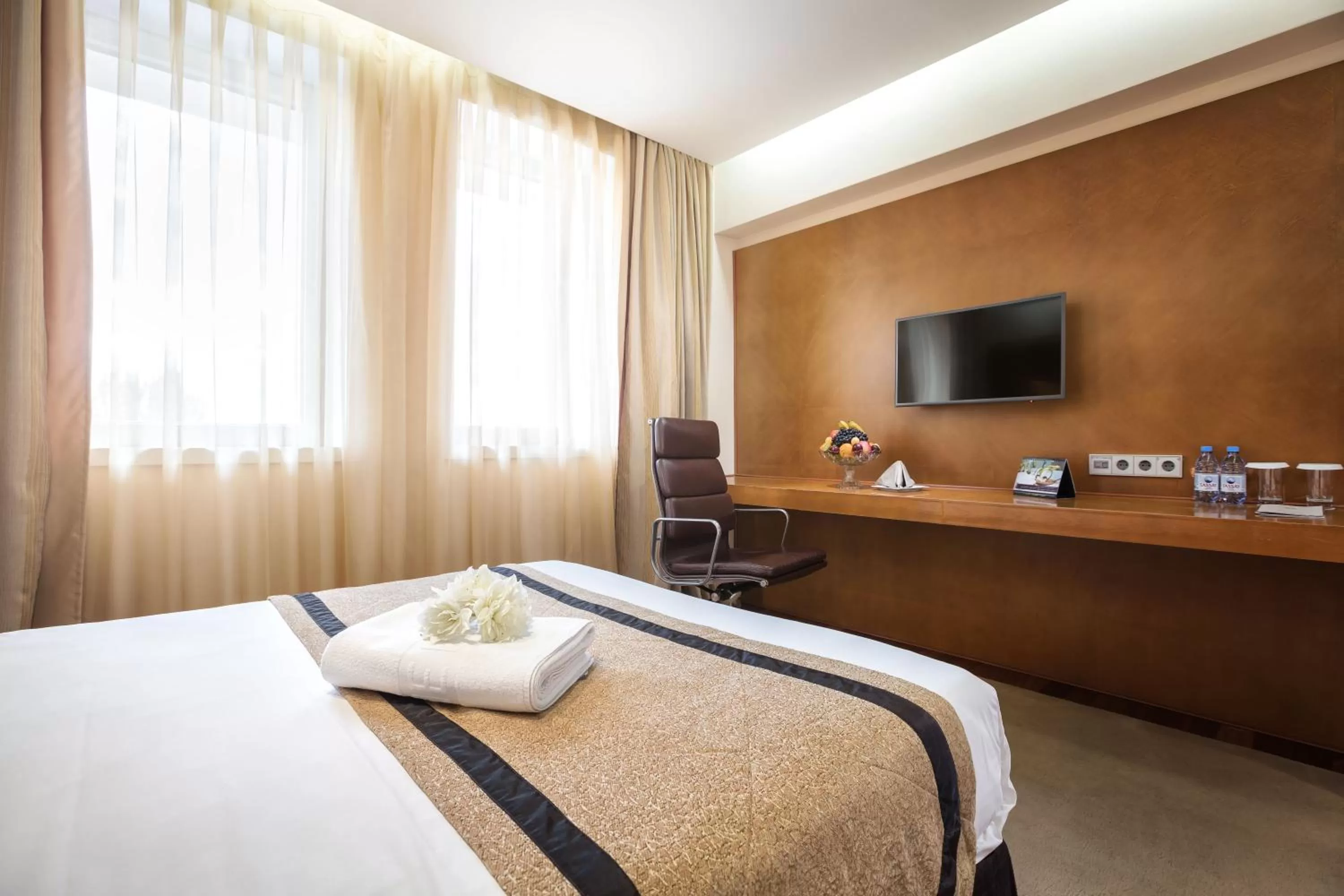 Standard Single Room in The Dostyk Hotel