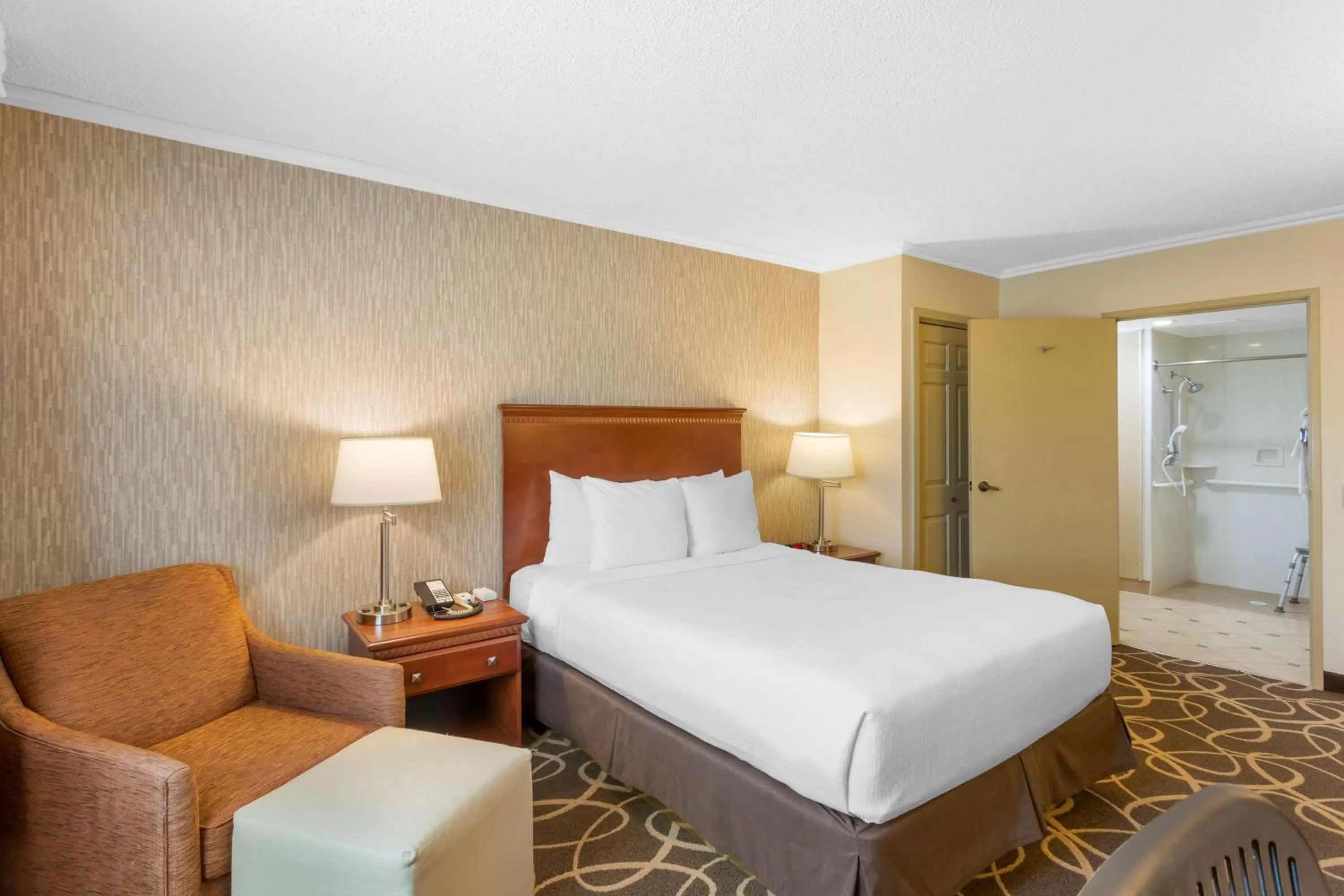 Queen Room with Roll-In Shower - Pet Friendly - Disability Access/Non-Smoking in Best Western Plus Burley Inn & Convention Center