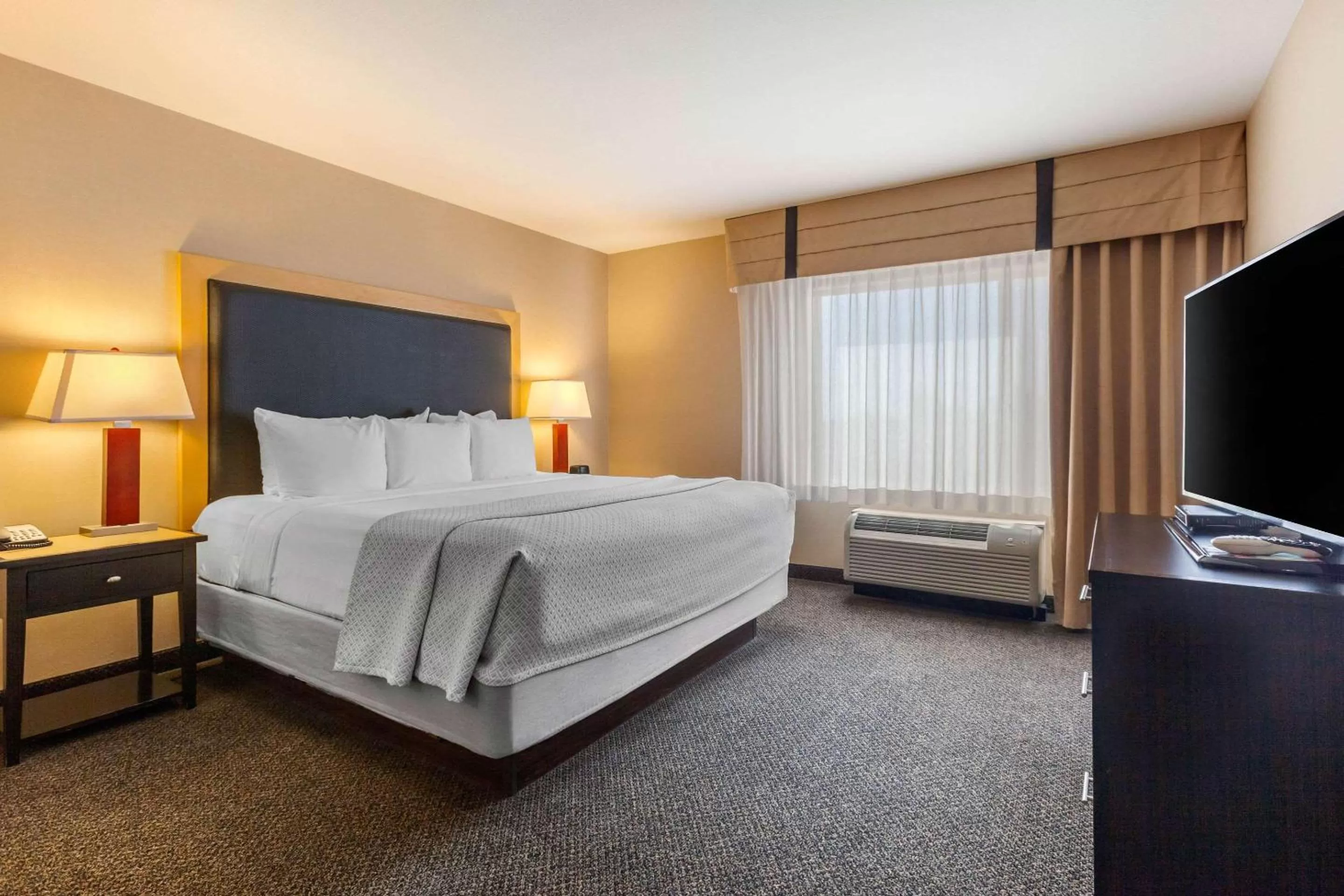 King Suite with Two Sofa Bed in Cambria Hotel Ft Collins