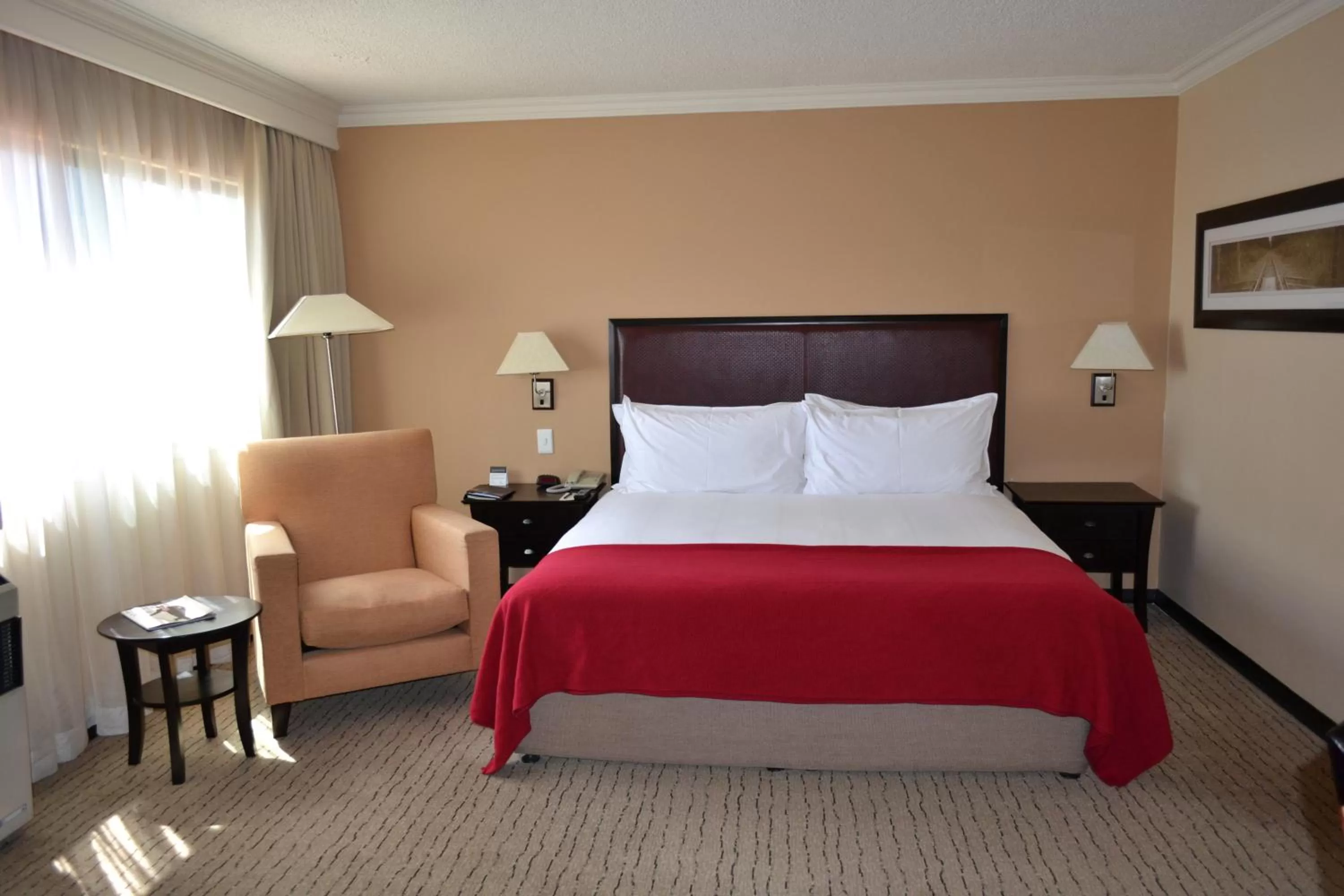 Standard Queen Non-Smoking in Southern Sun Pretoria