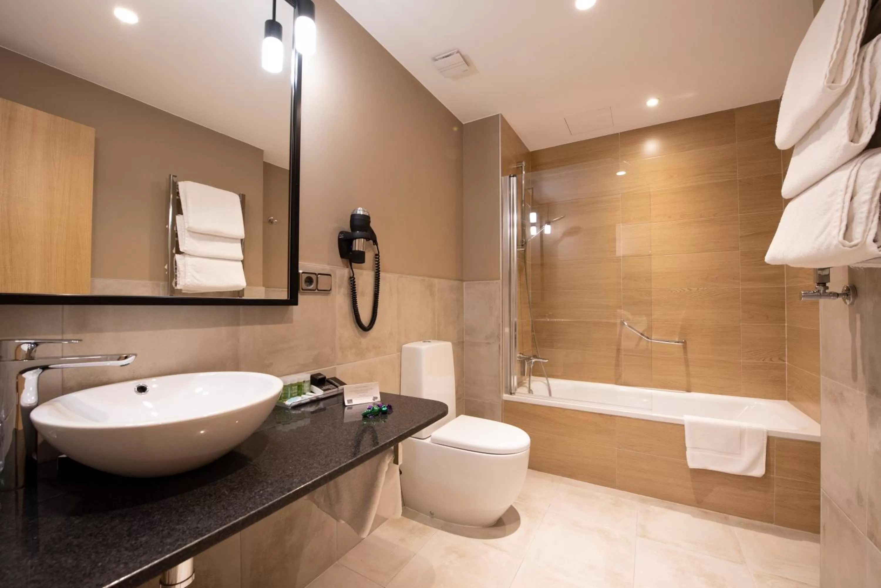 Double or Twin Room in Hotel Avenida