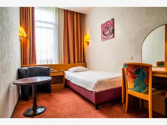 Single Room in Owl Hotel