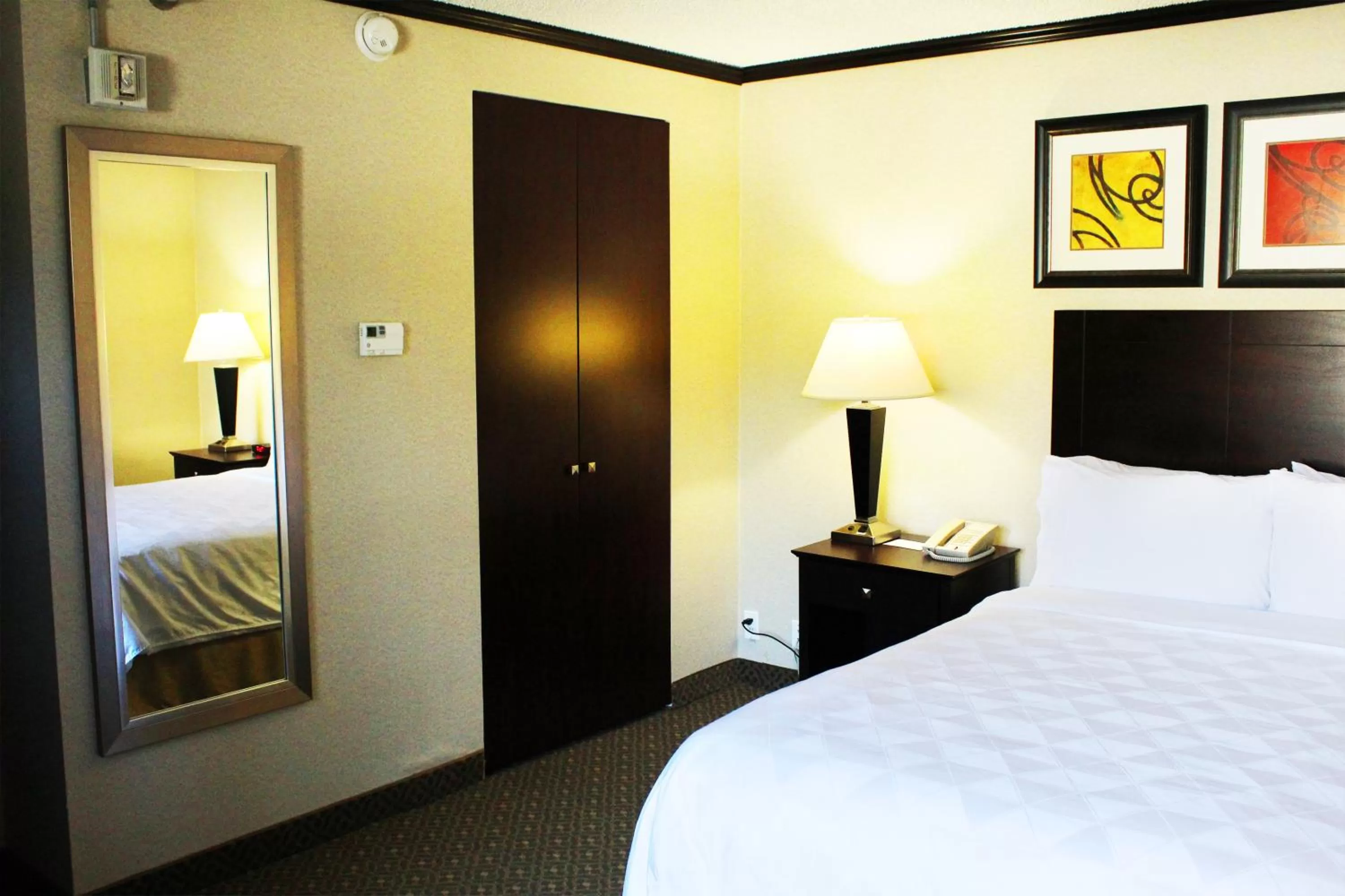 Queen Room - Disability Access in Hotel Burbank