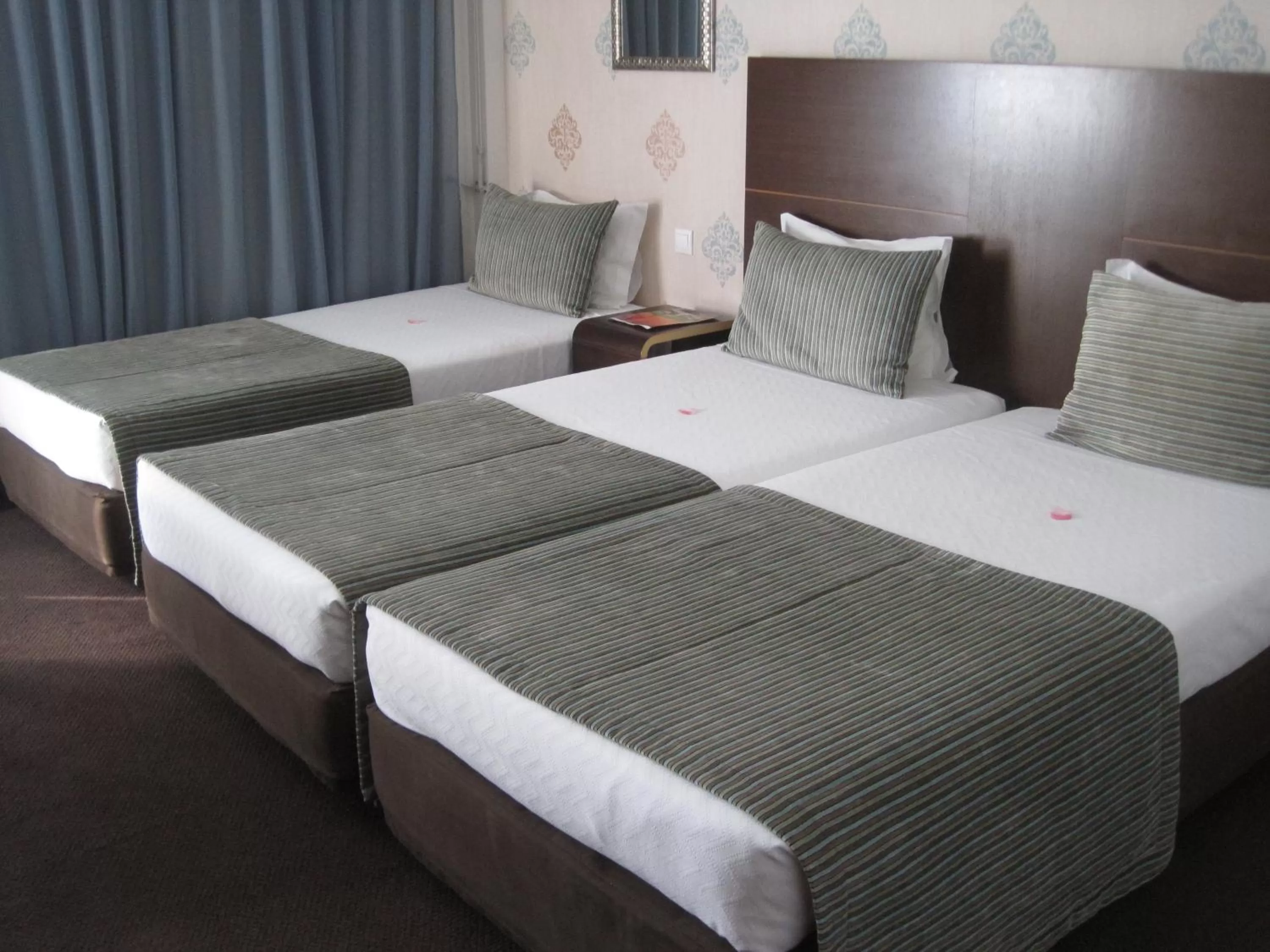 Triple Room in Hotel As Americas