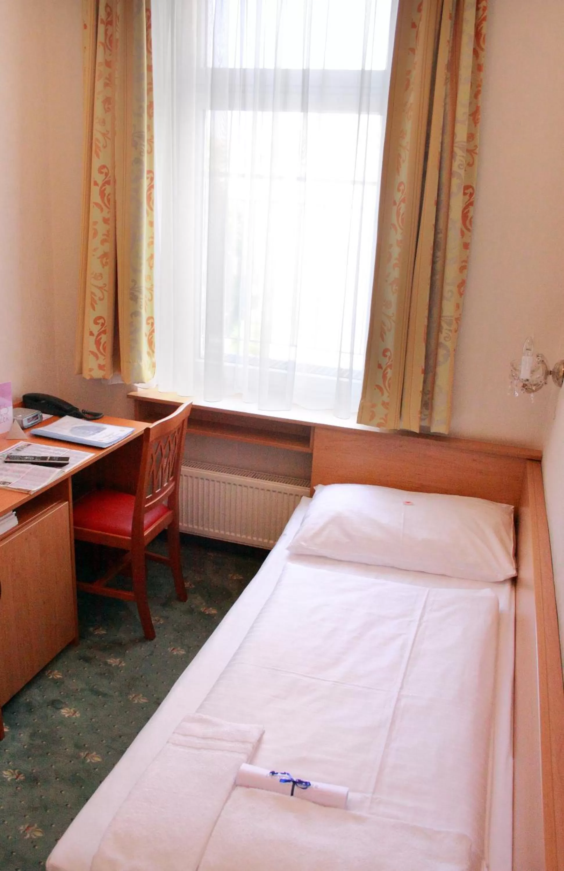 Economy Single Room in BoutiqueHOTEL Donauwalzer